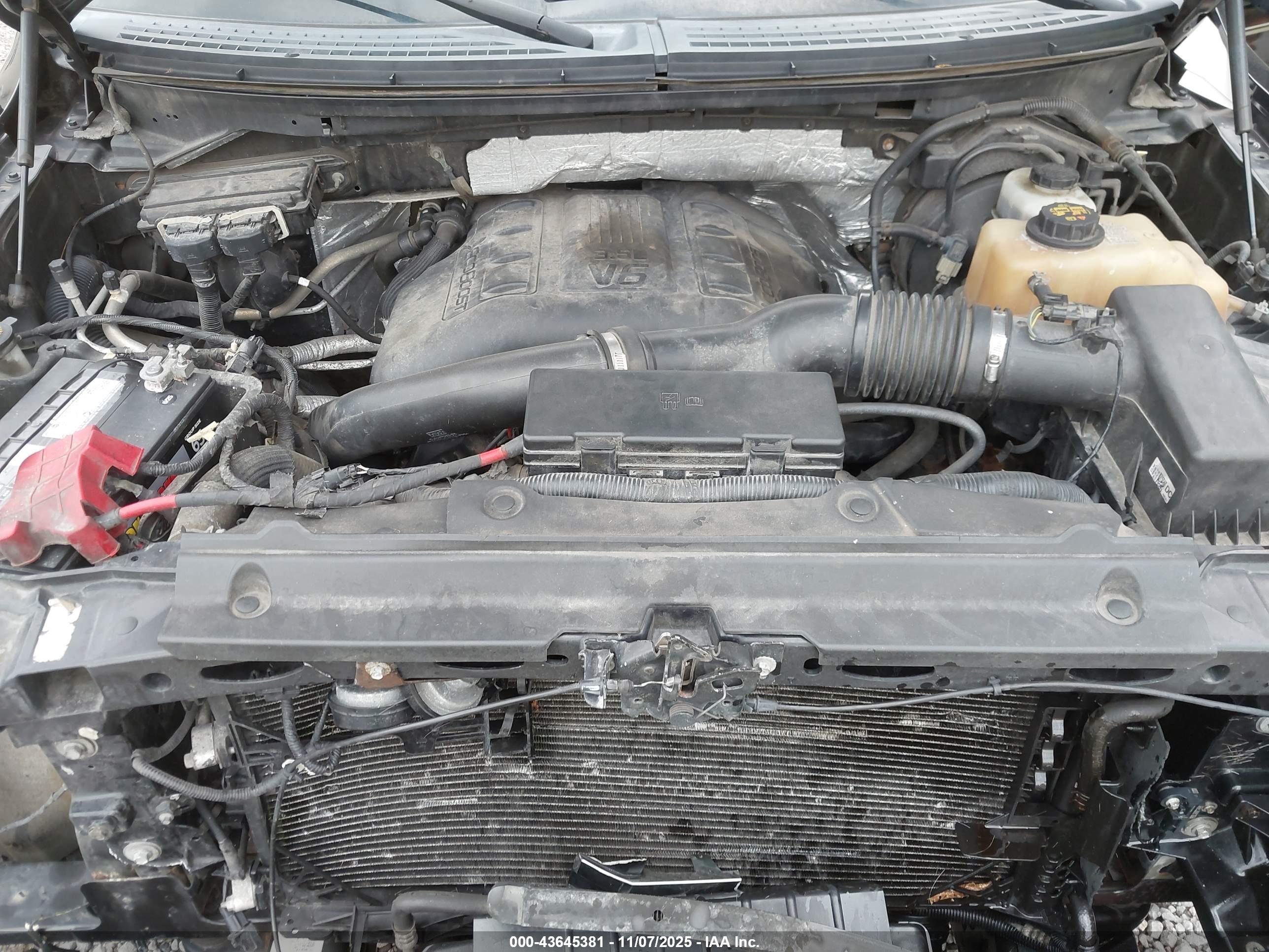 FORD F-150 image 10