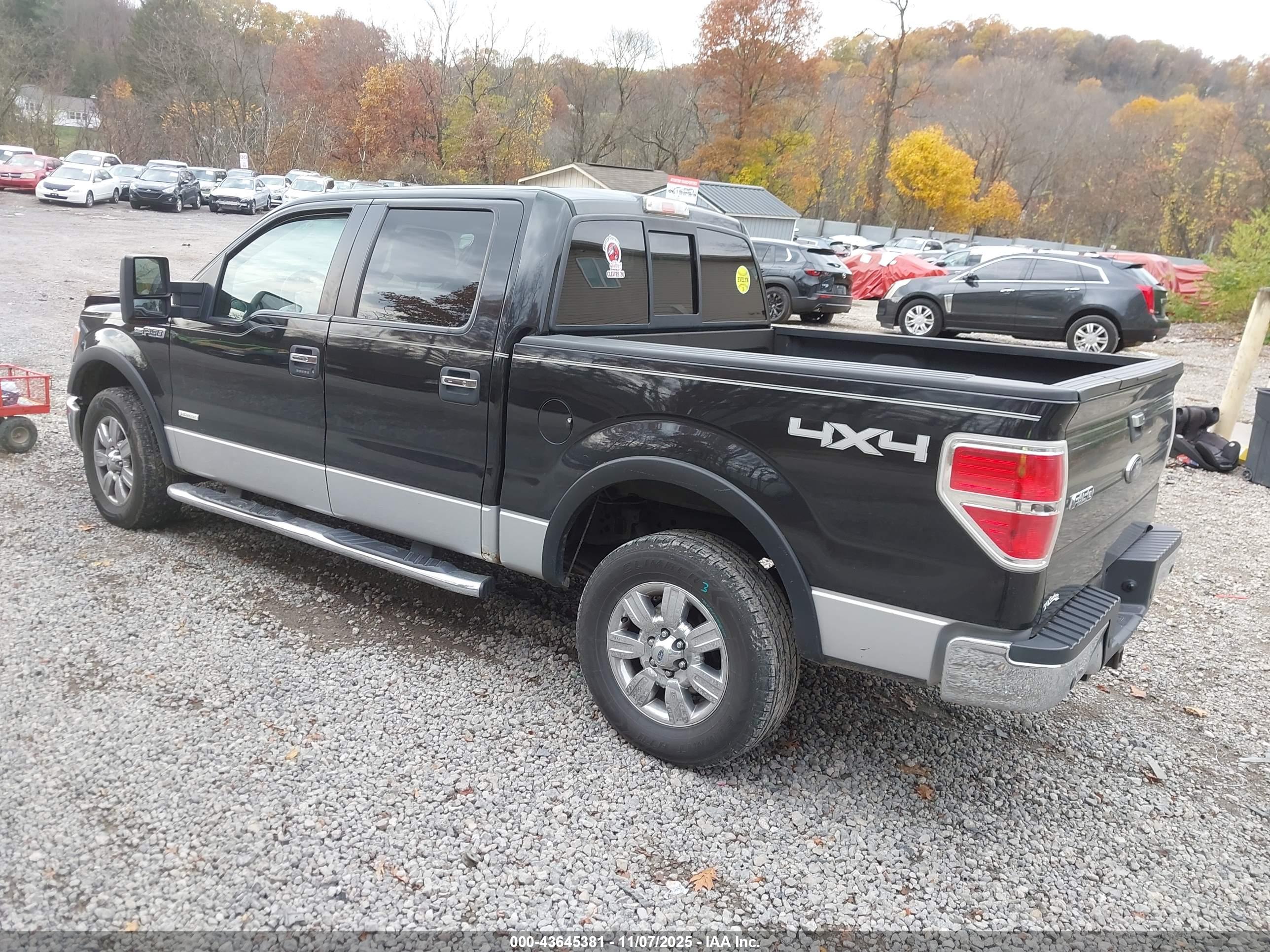 FORD F-150 image 3