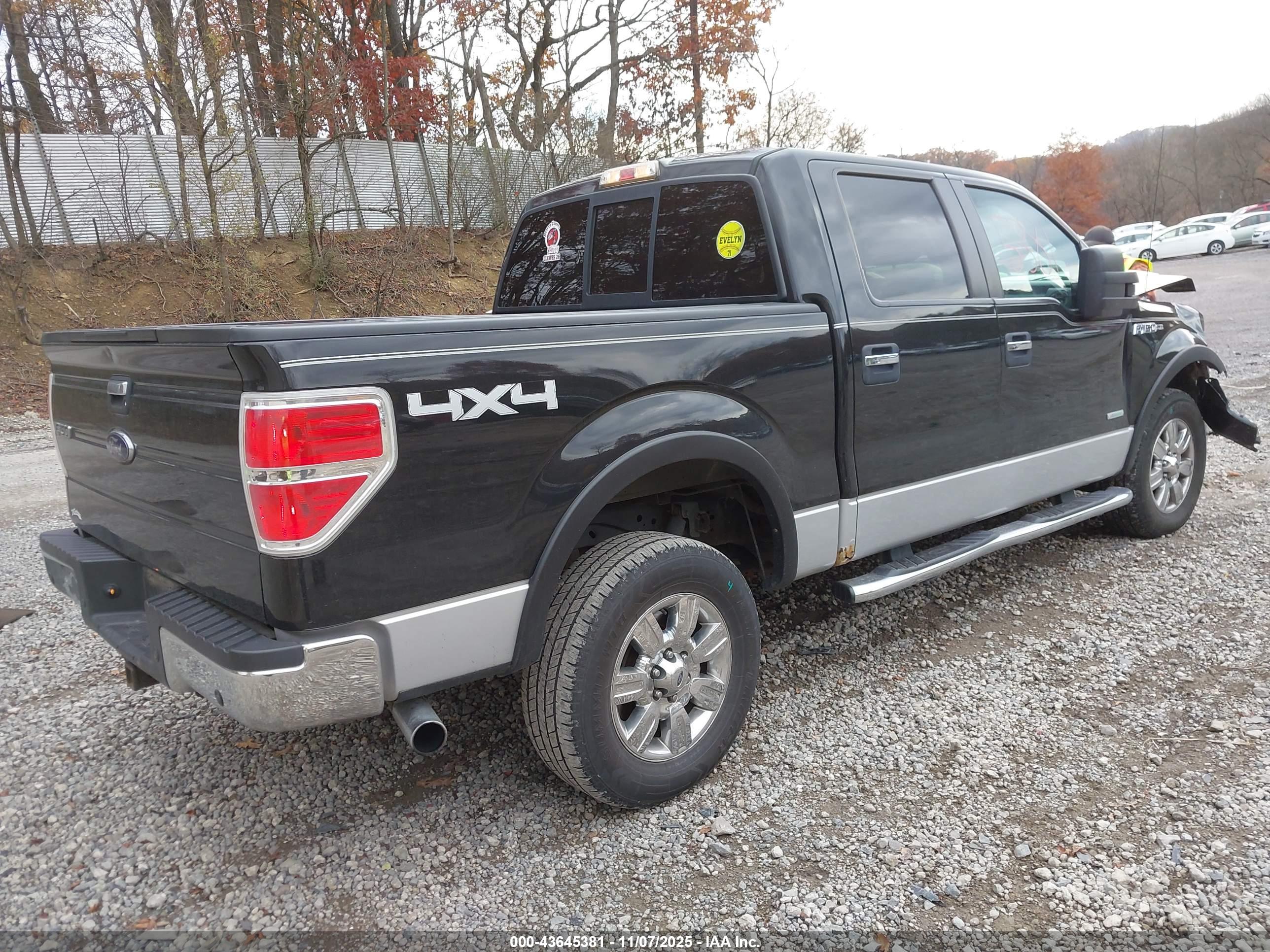 FORD F-150 image 4