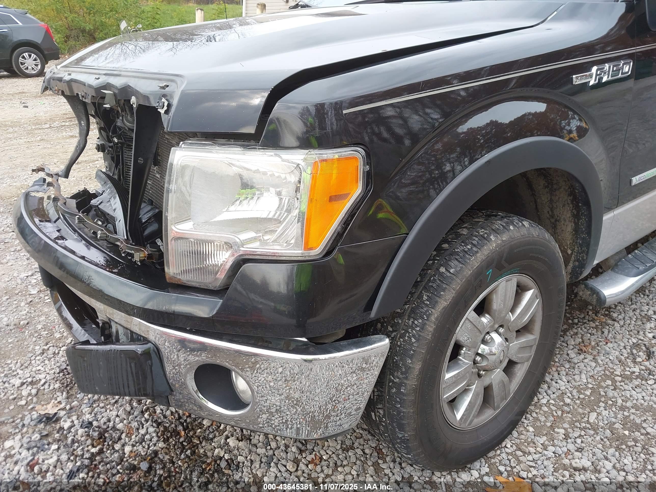 FORD F-150 image 6