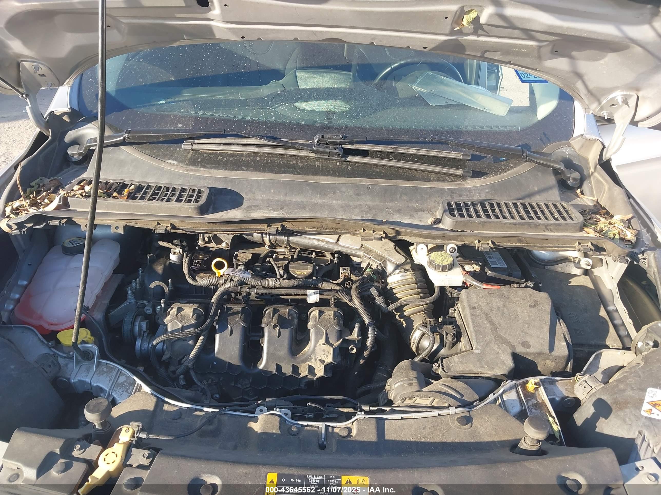 FORD ESCAPE image 10