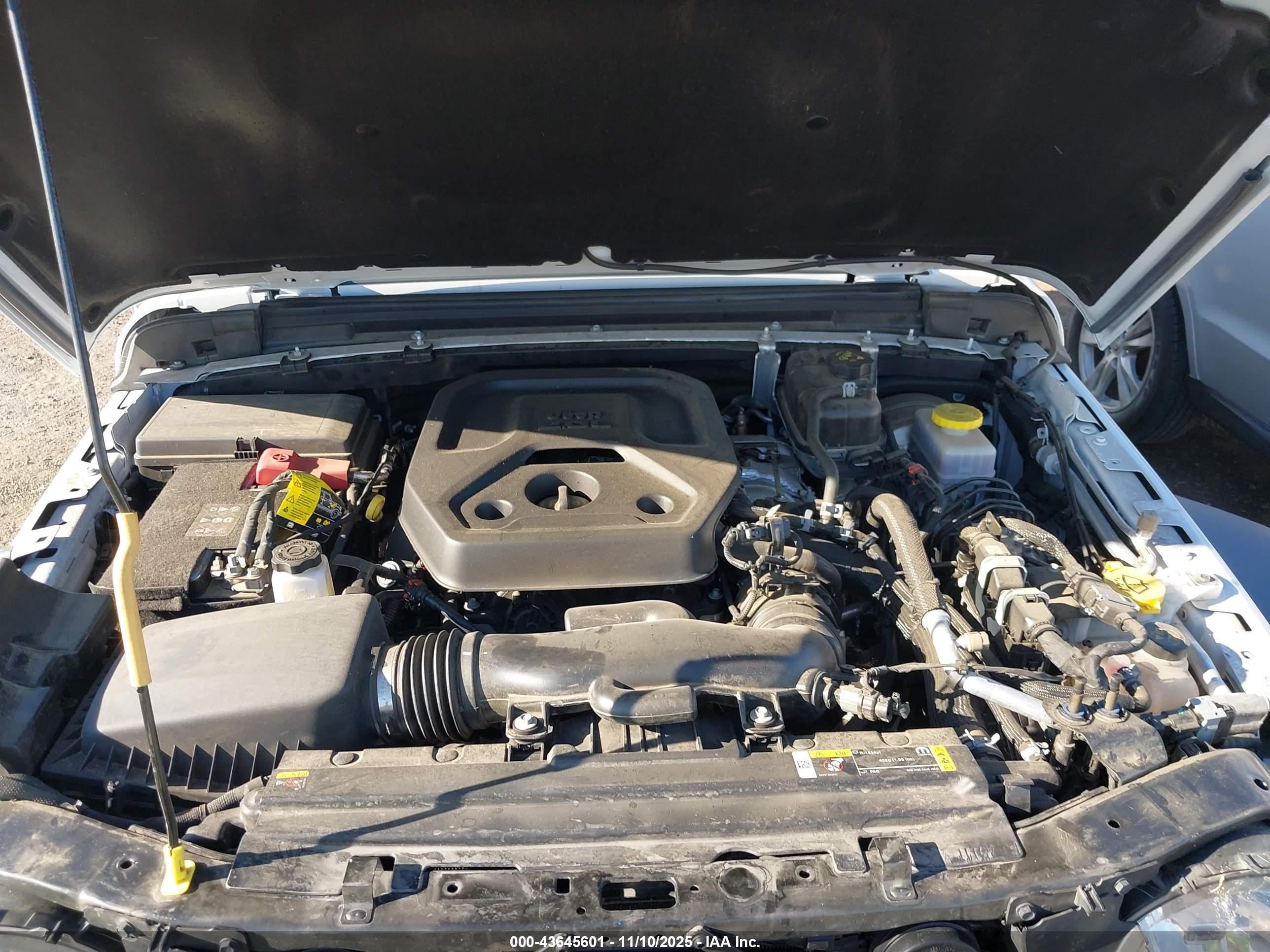 JEEP WRANGLER image 10