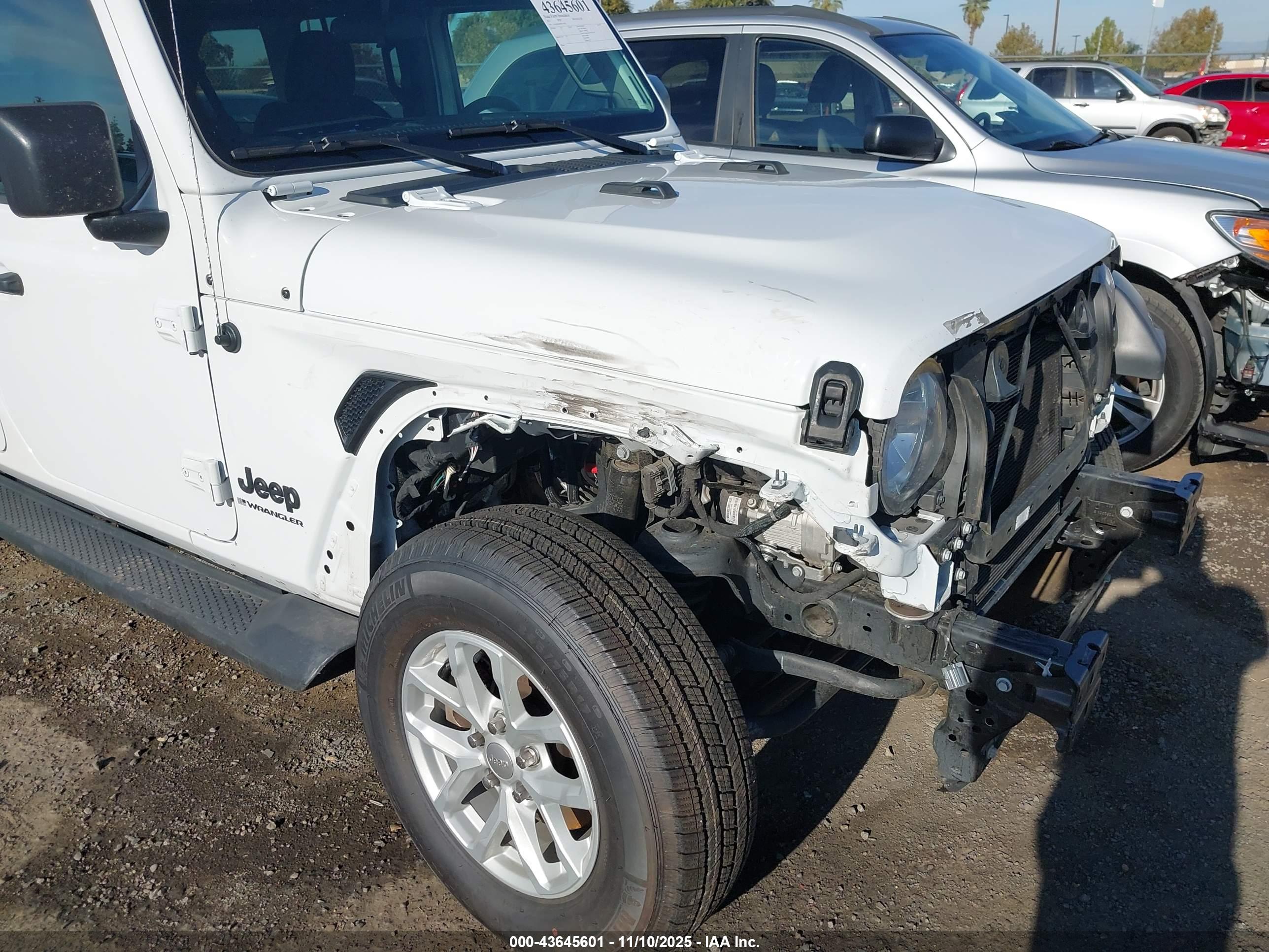 JEEP WRANGLER image 6