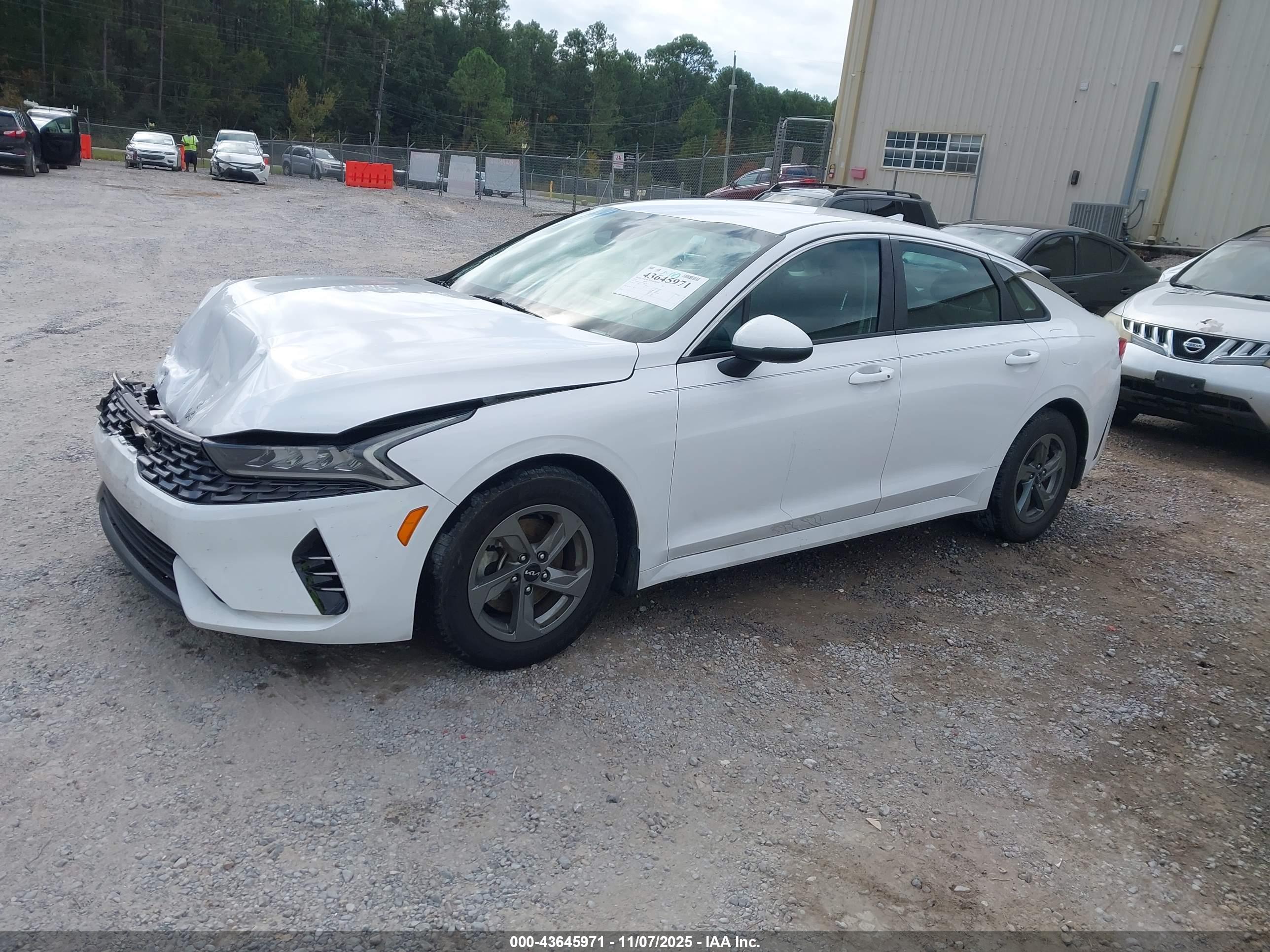 KIA K5 image 2