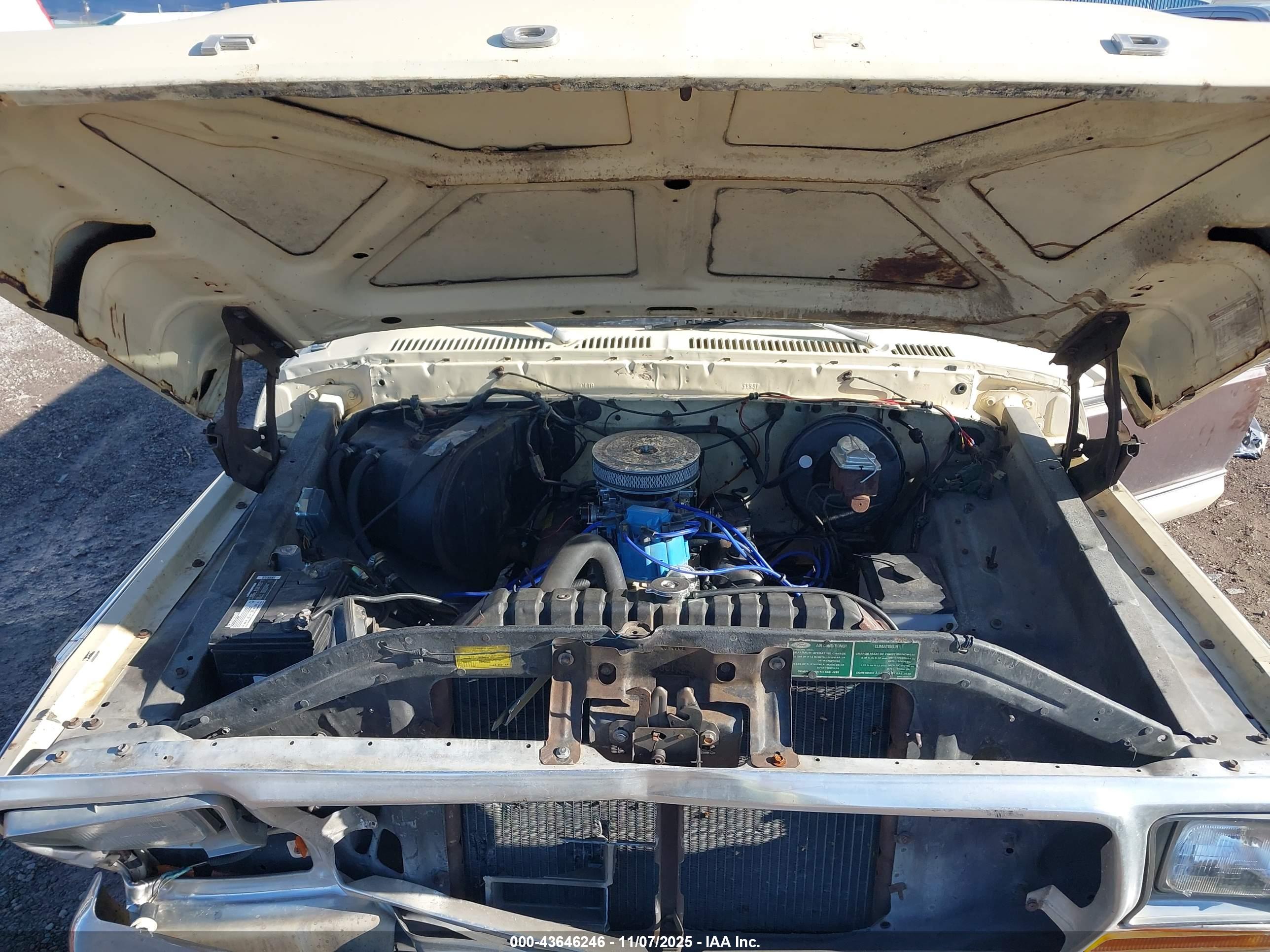 FORD F-100 image 10