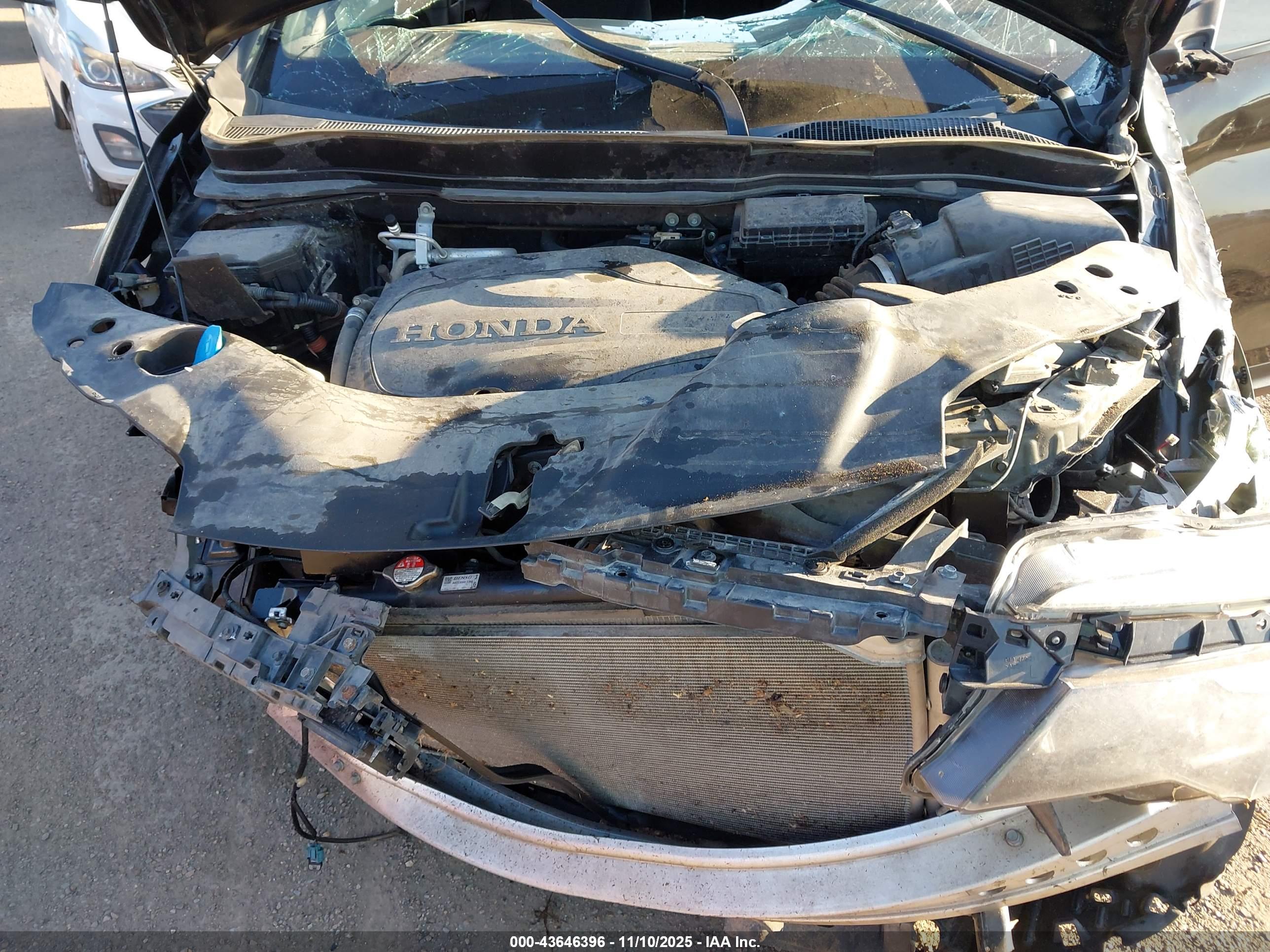 HONDA PASSPORT image 10