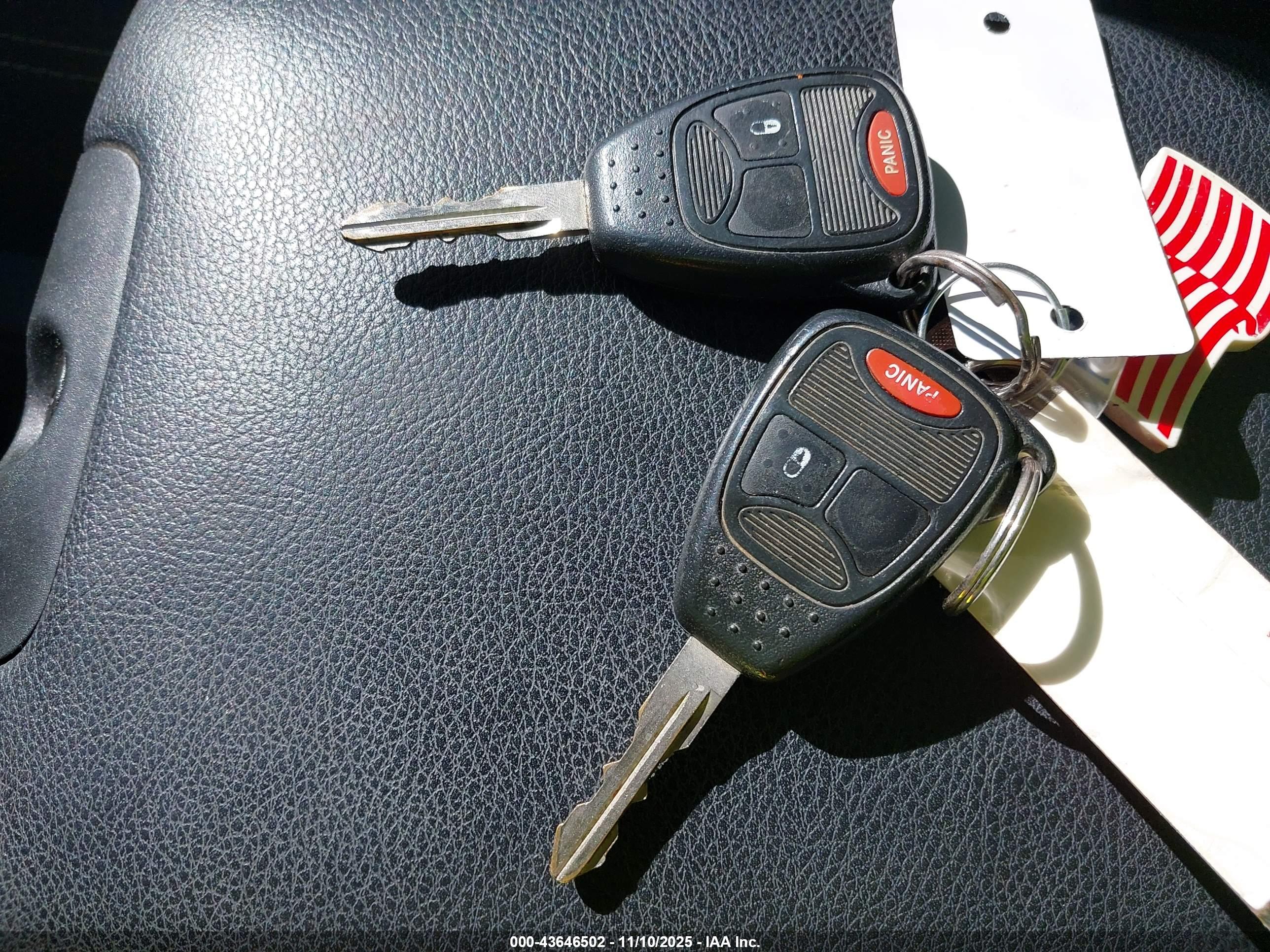 JEEP WRANGLER image 11
