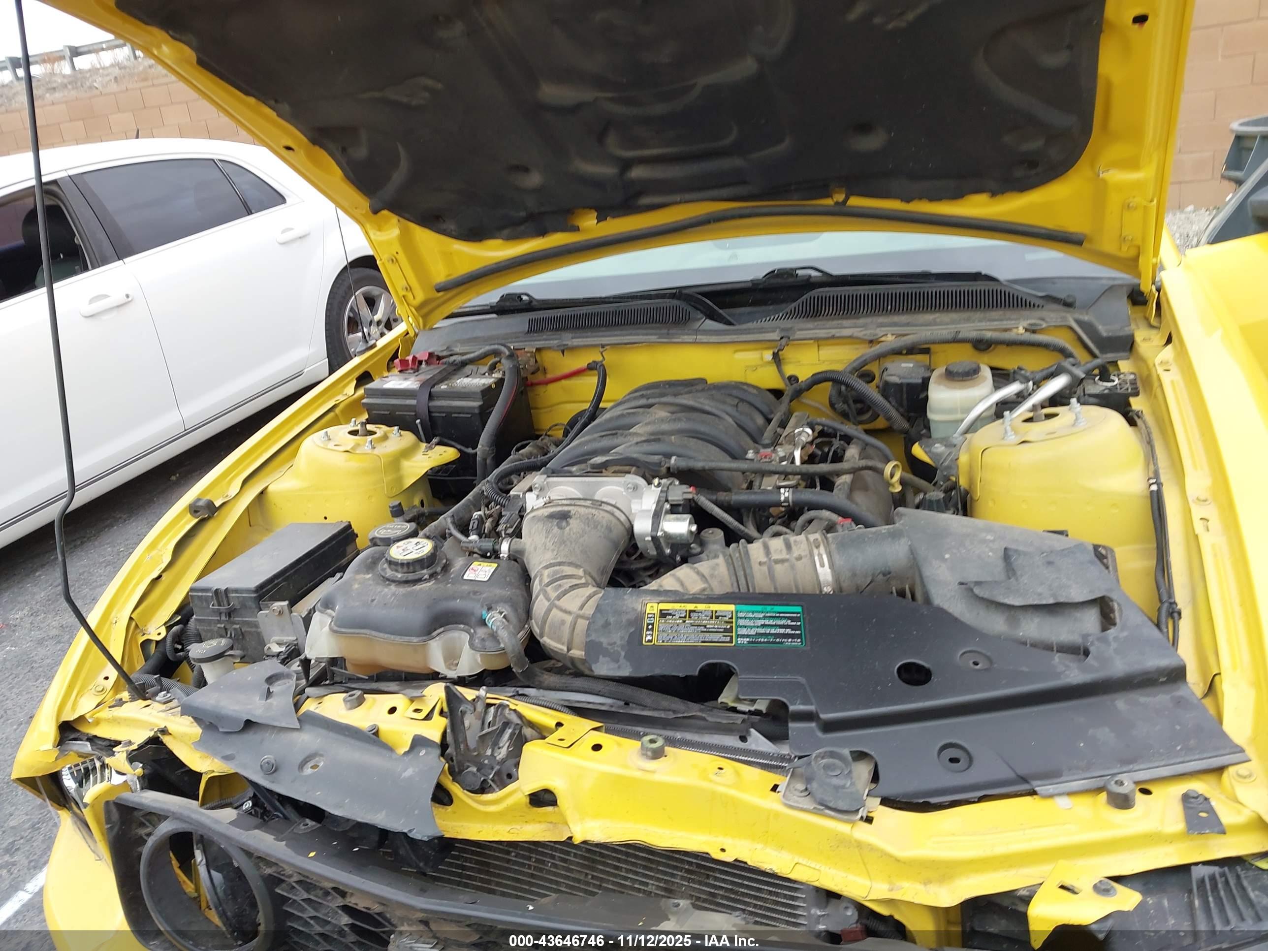 FORD MUSTANG image 10