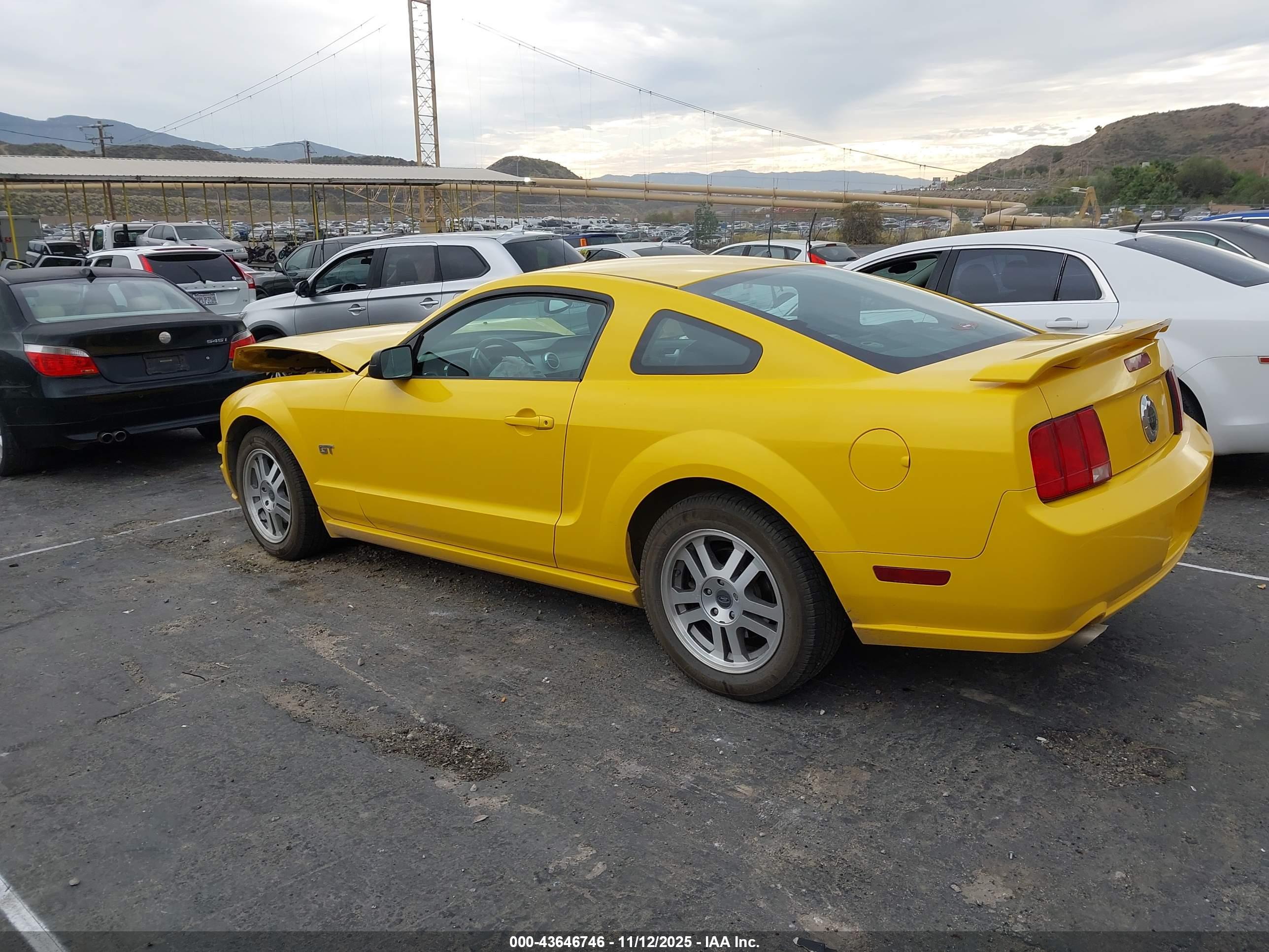 FORD MUSTANG image 3