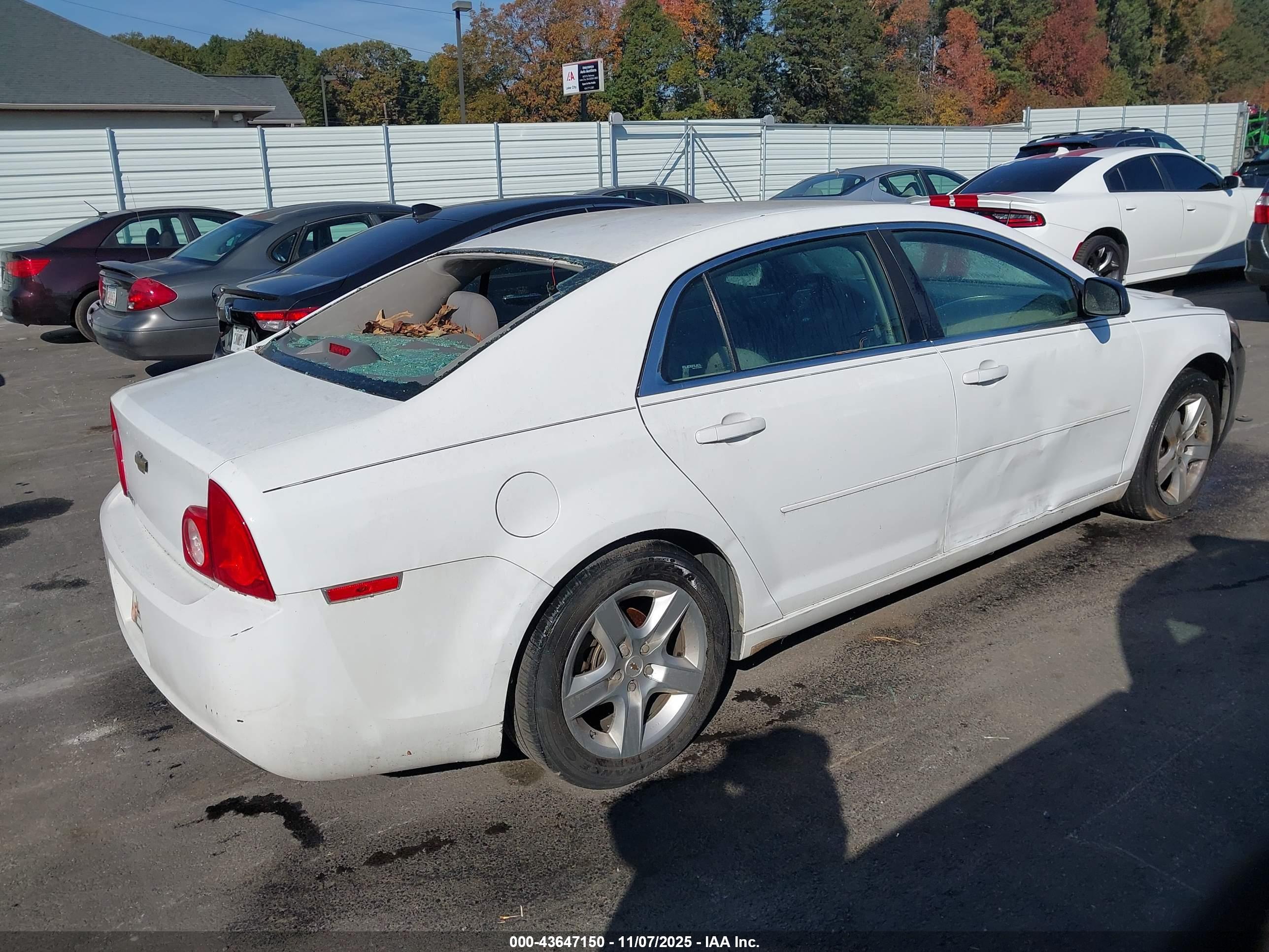 CHEVROLET MALIBU image 4