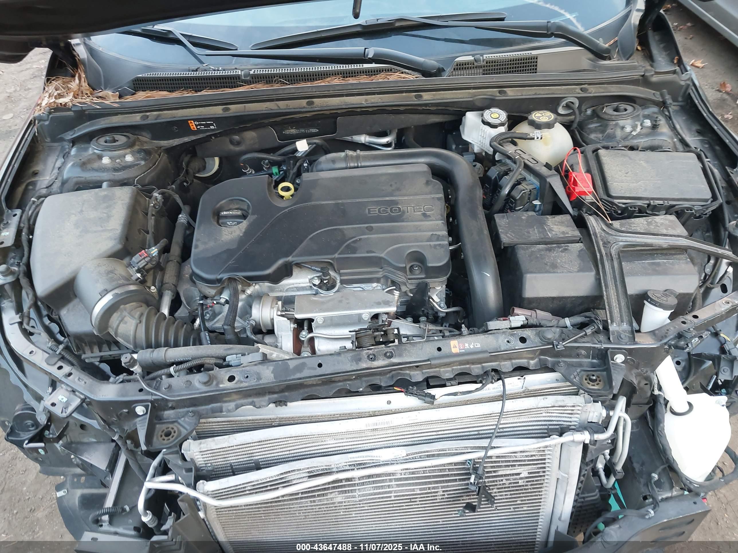 CHEVROLET MALIBU image 10