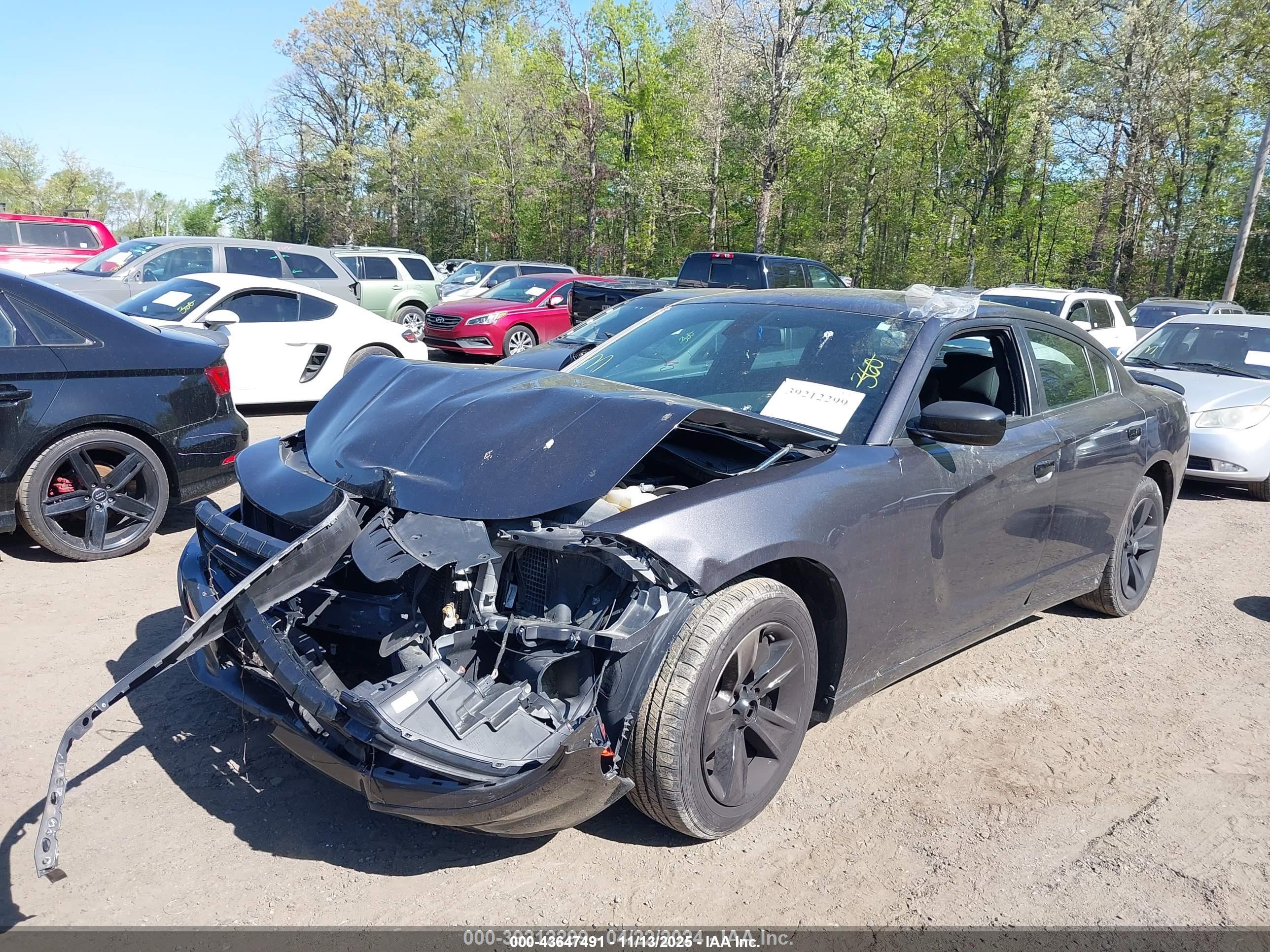 DODGE CHARGER image 2