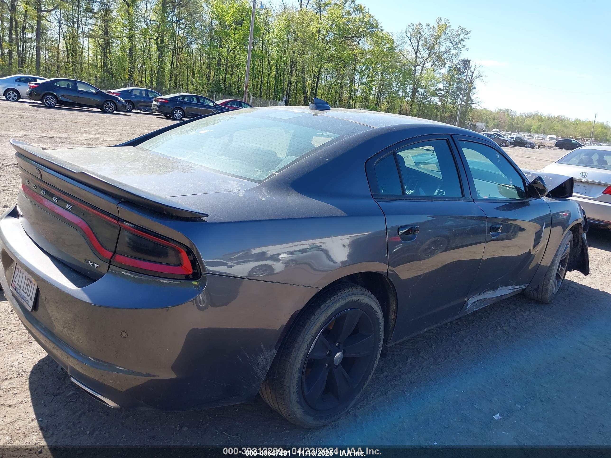 DODGE CHARGER image 4