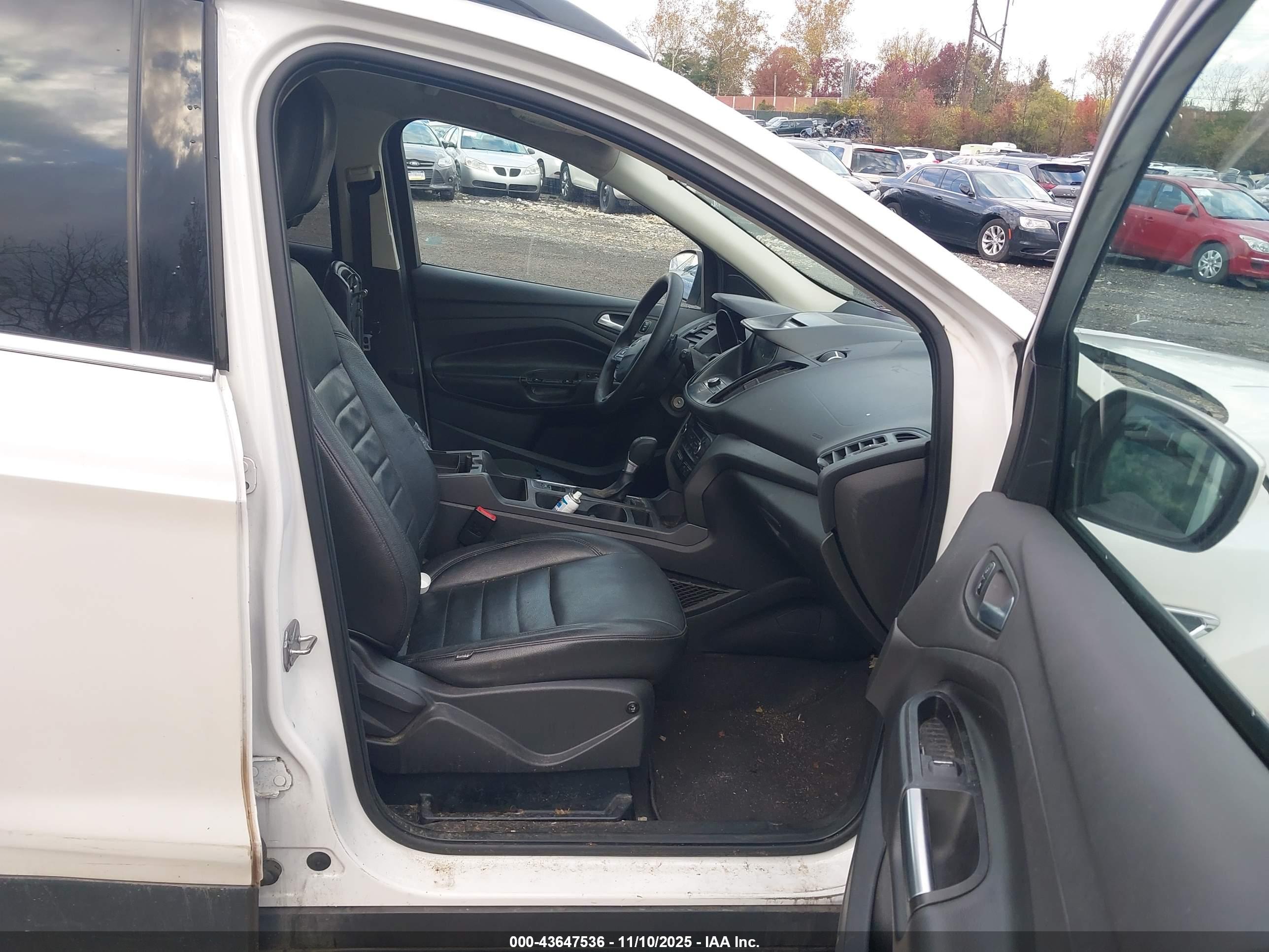 FORD ESCAPE image 5