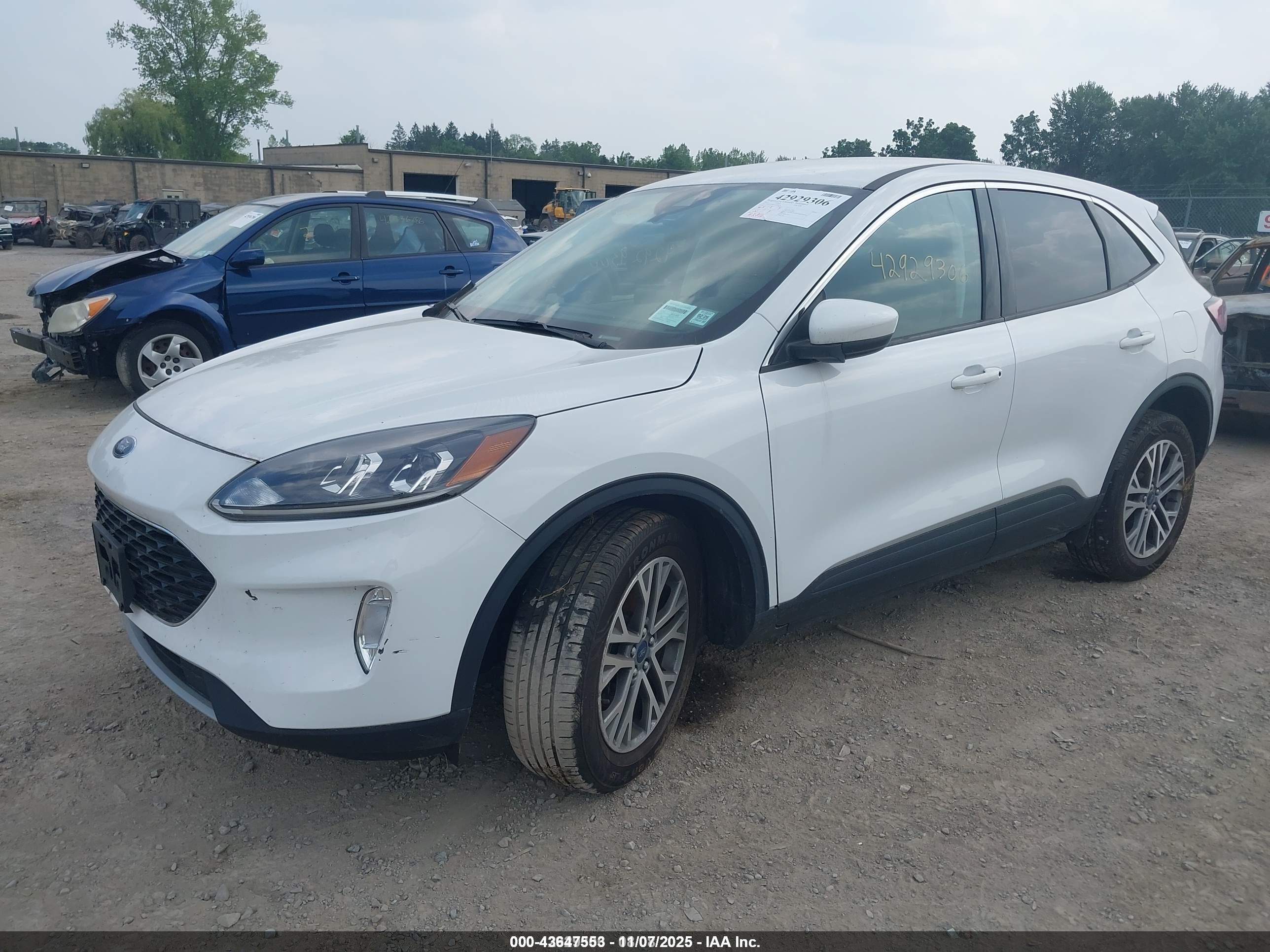 FORD ESCAPE image 2