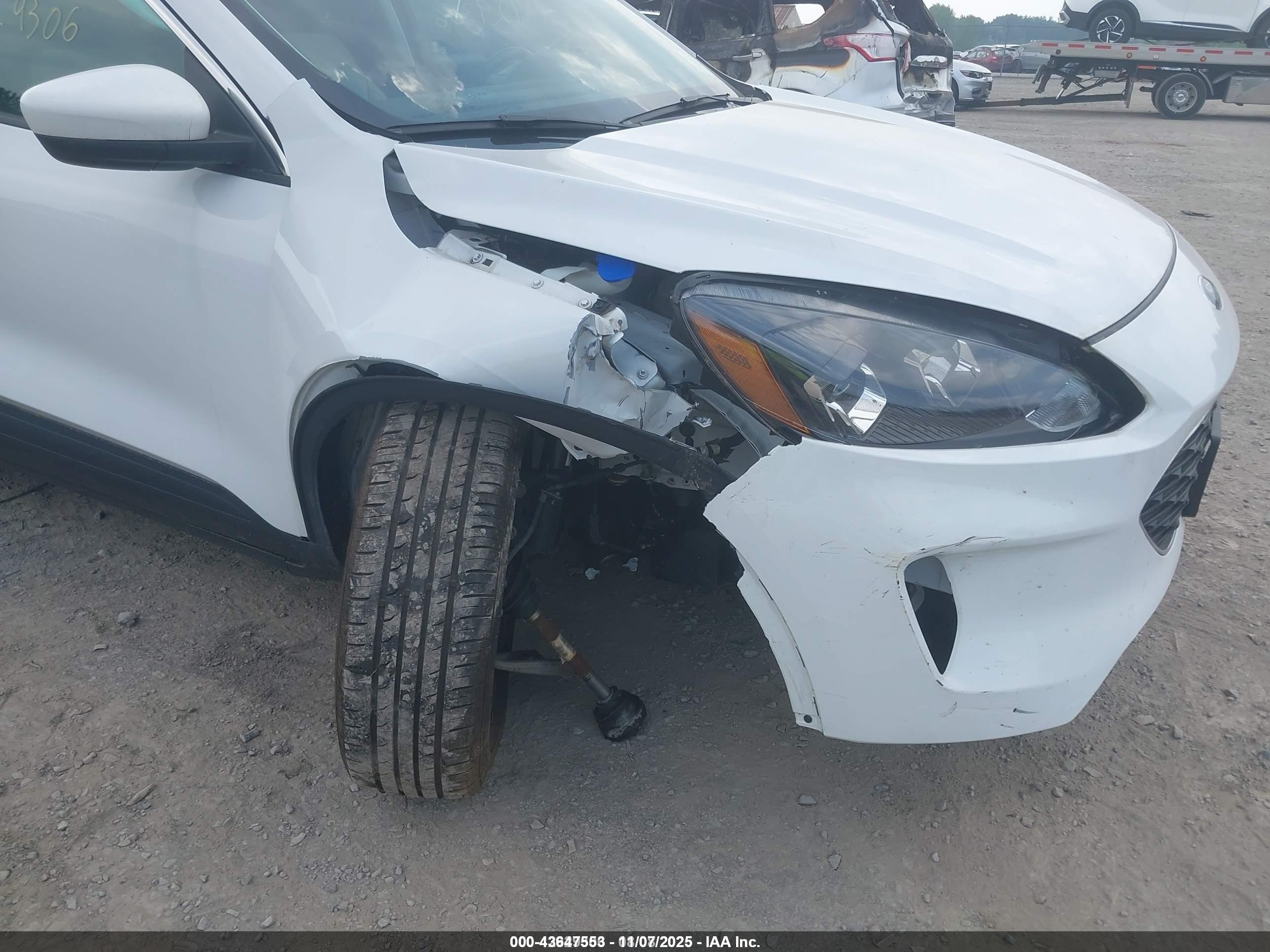 FORD ESCAPE image 6