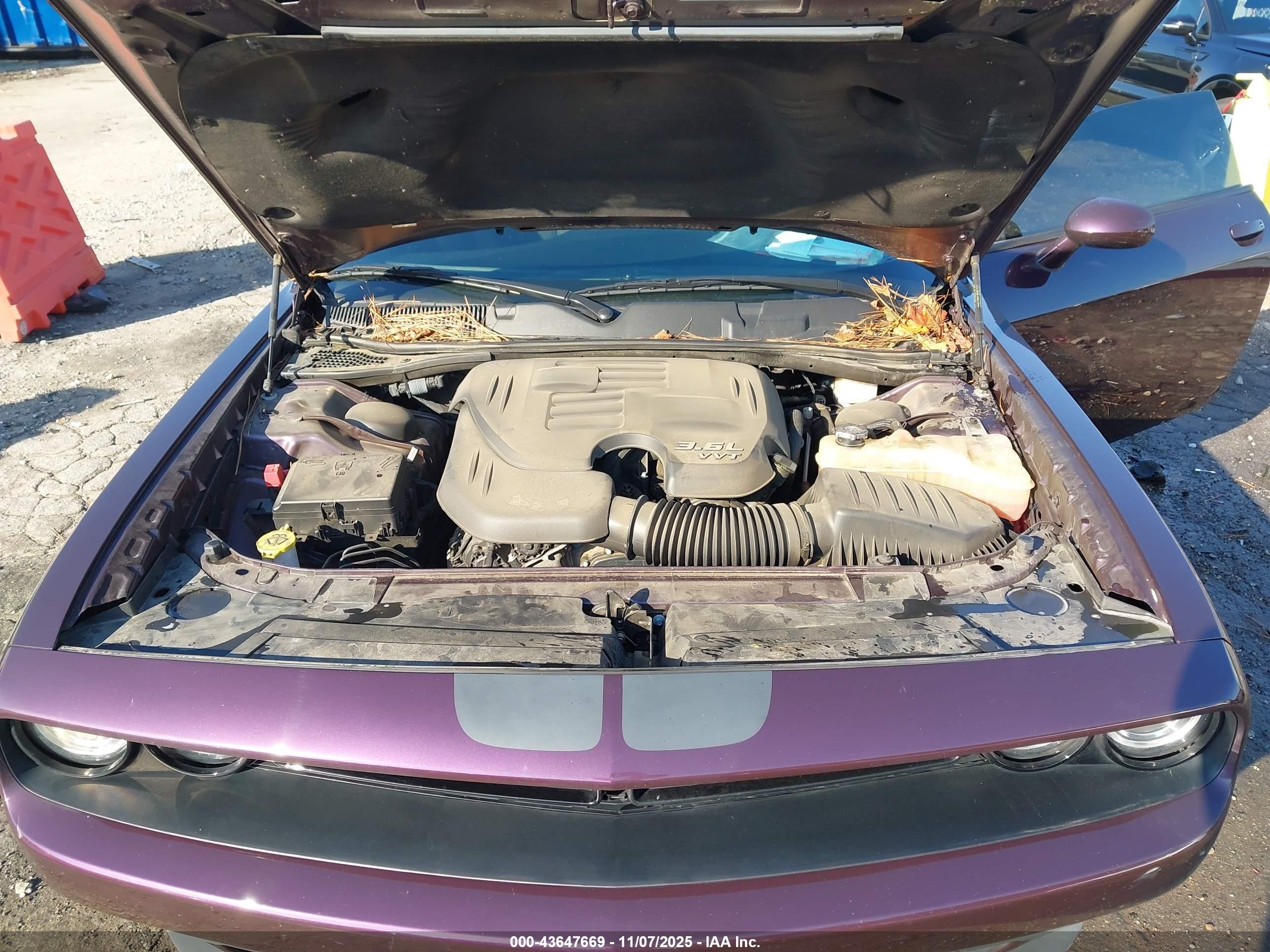 DODGE CHALLENGER image 10