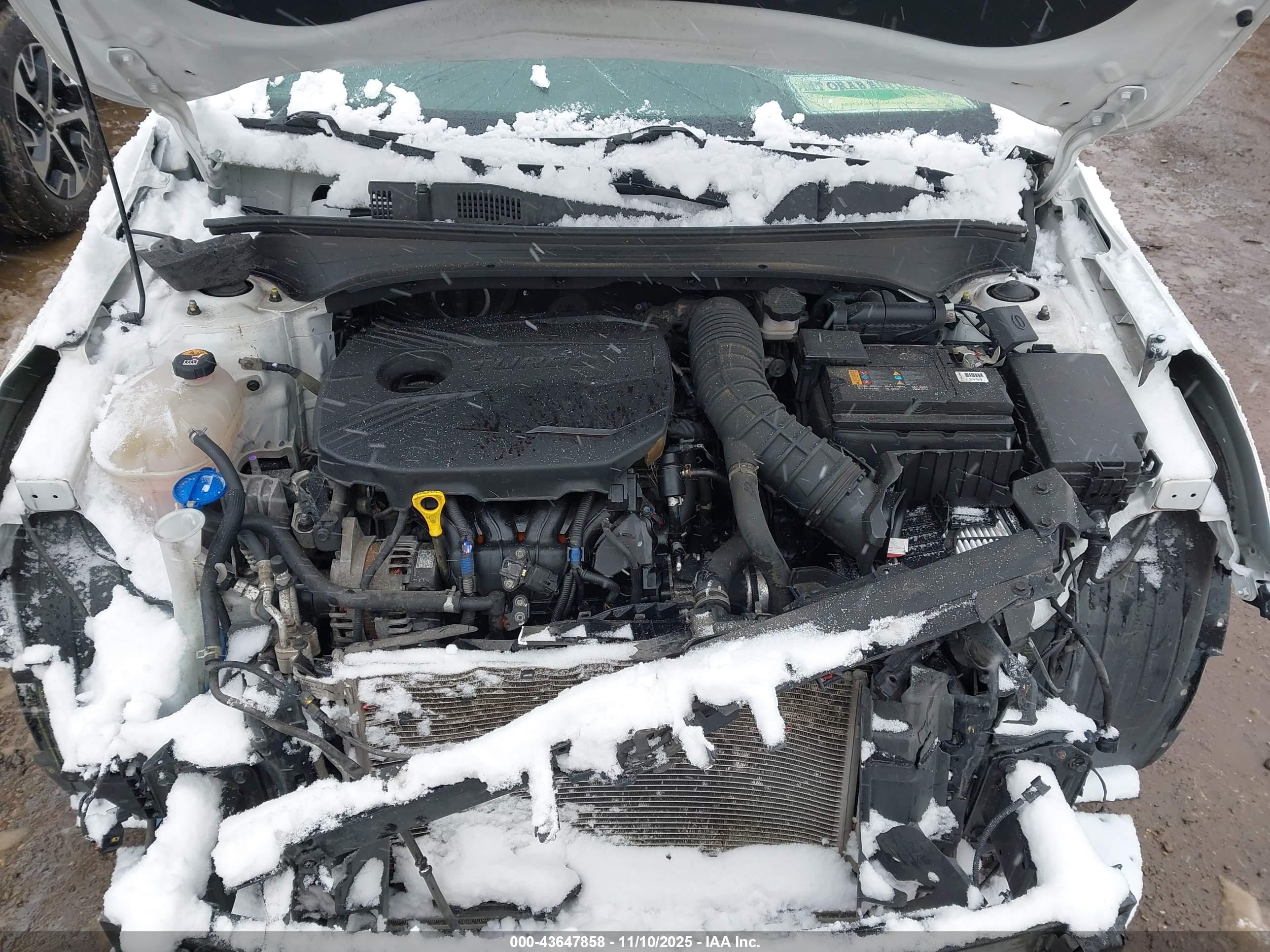 KIA FORTE image 10