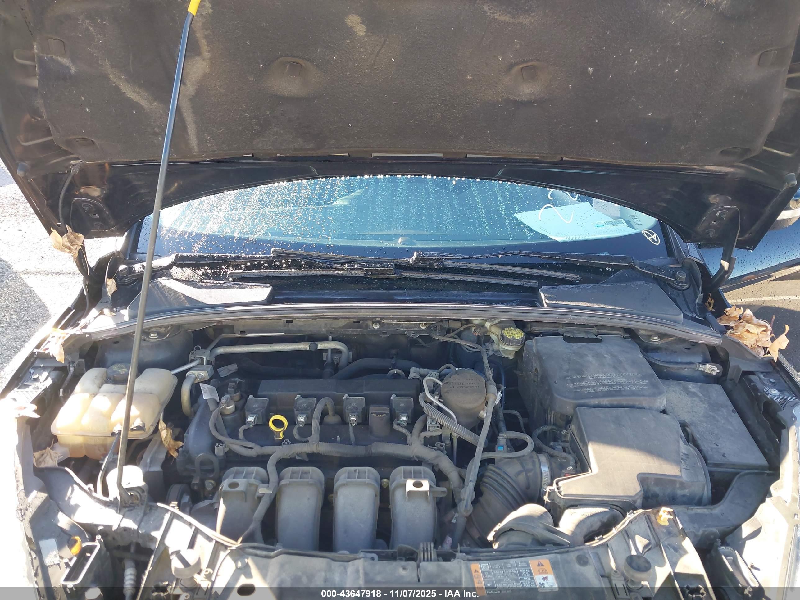 FORD FOCUS image 10
