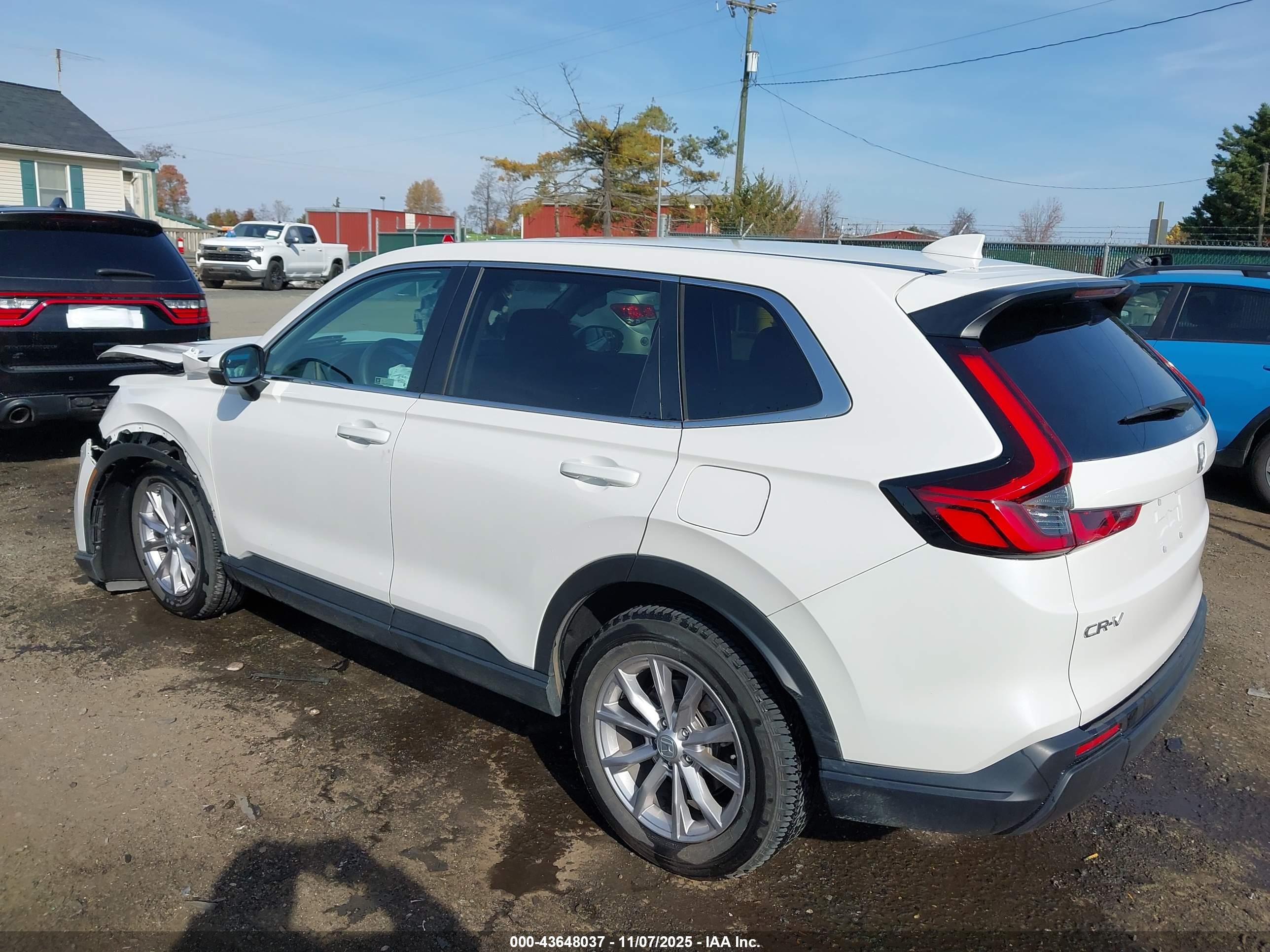 HONDA CR-V image 3