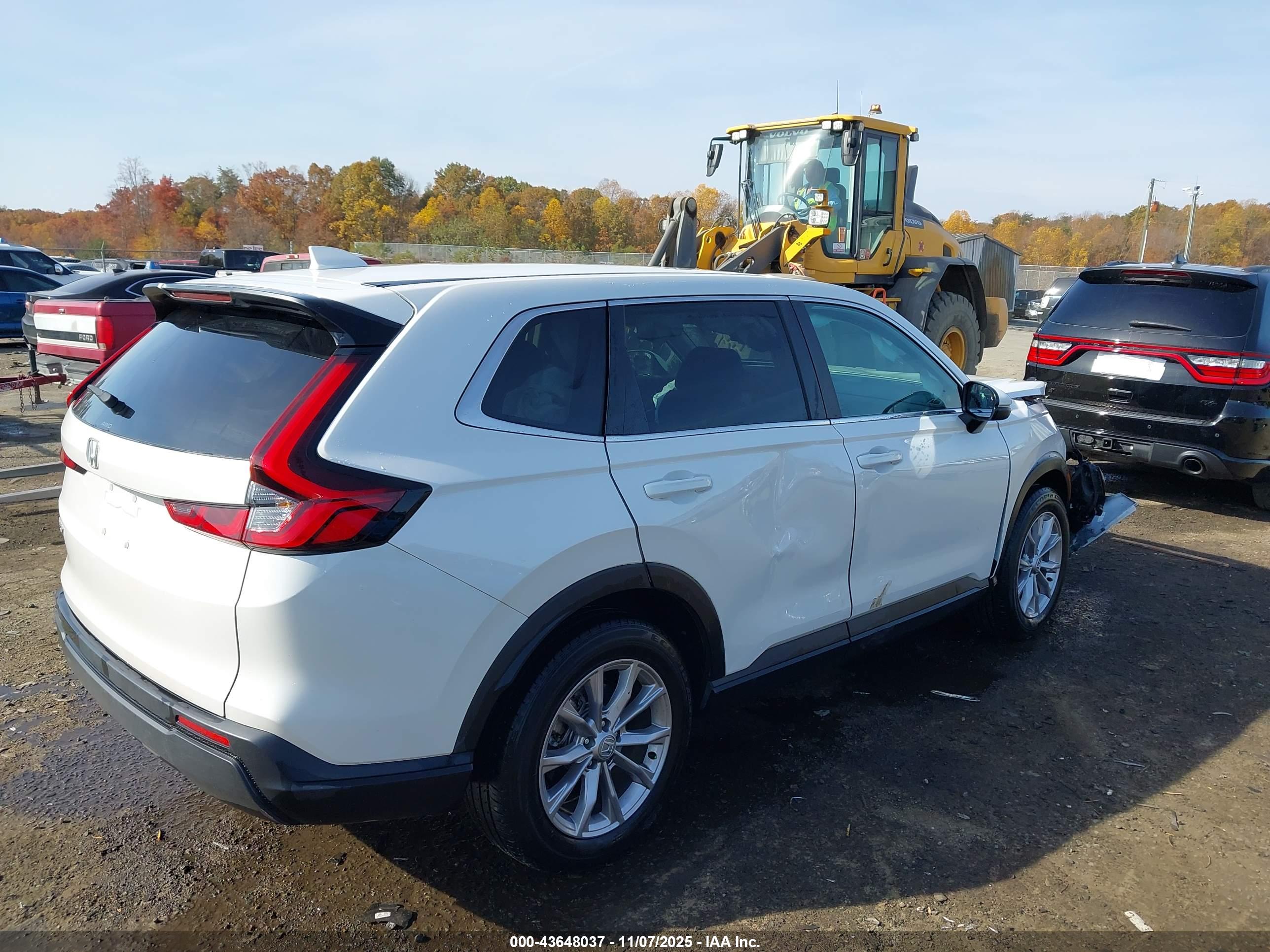HONDA CR-V image 4