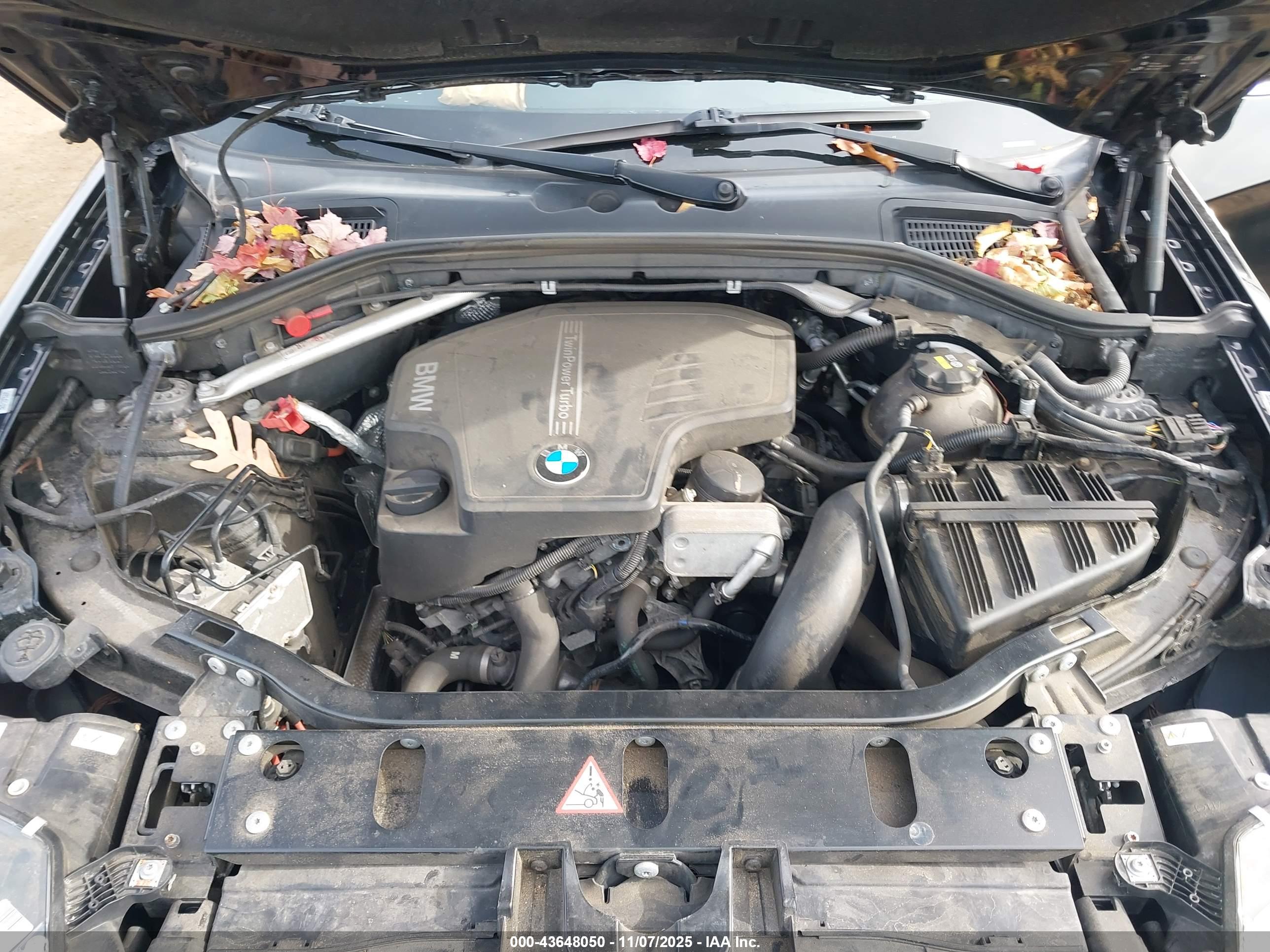 BMW X4 image 10