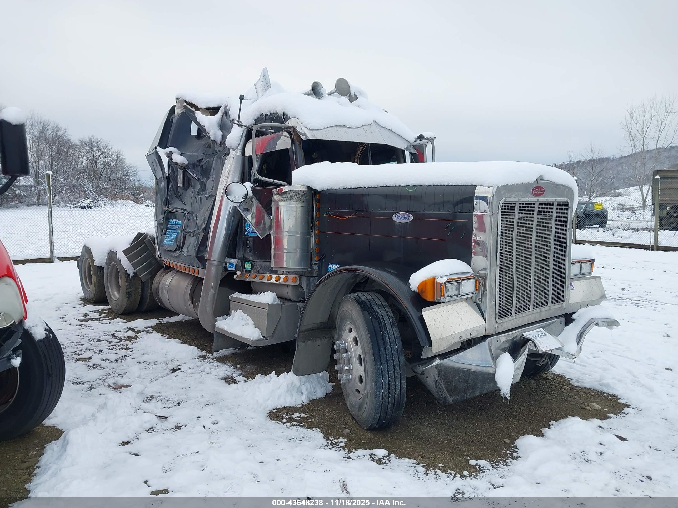 PETERBILT 379 image 2