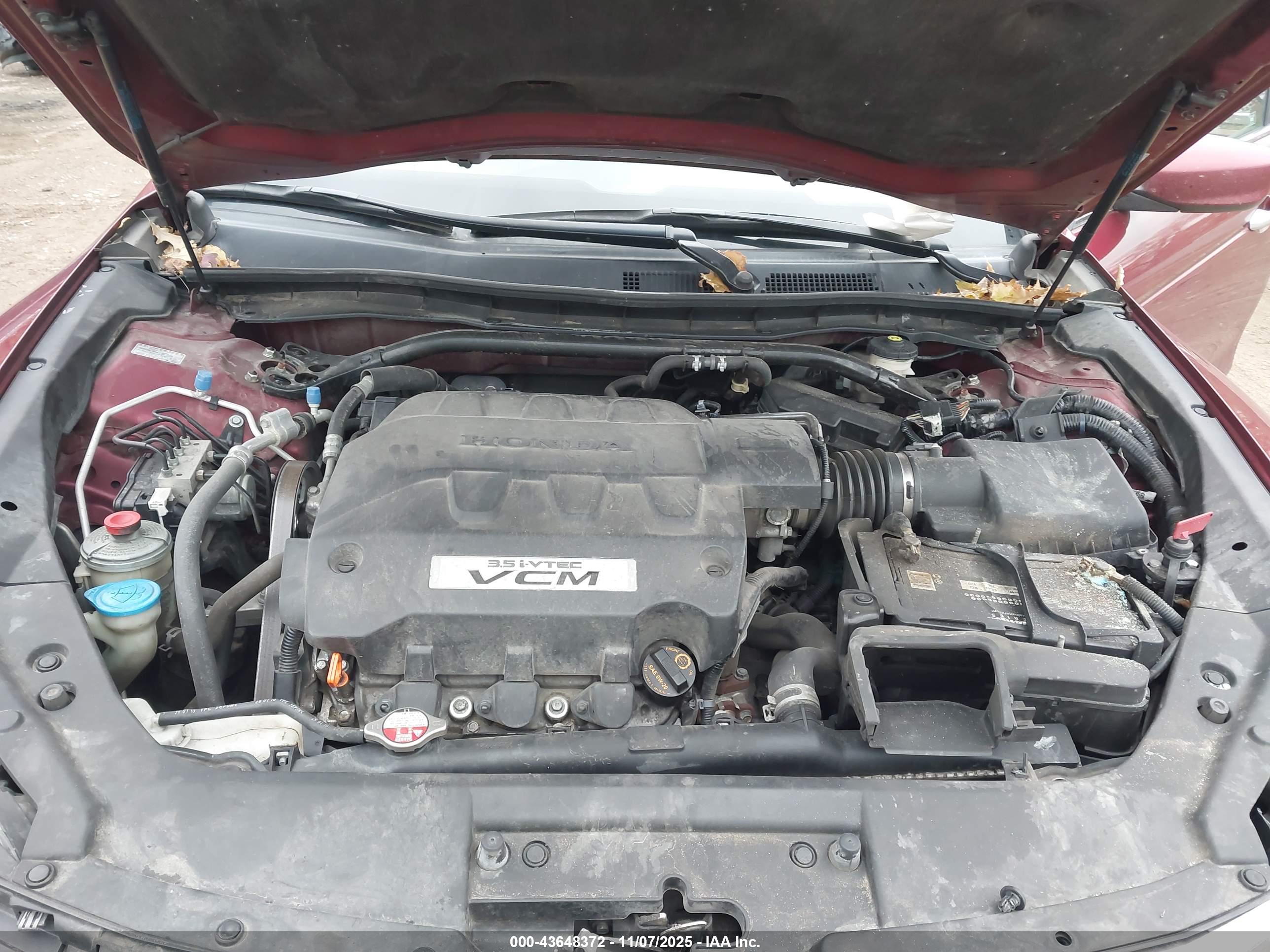 HONDA ACCORD image 10