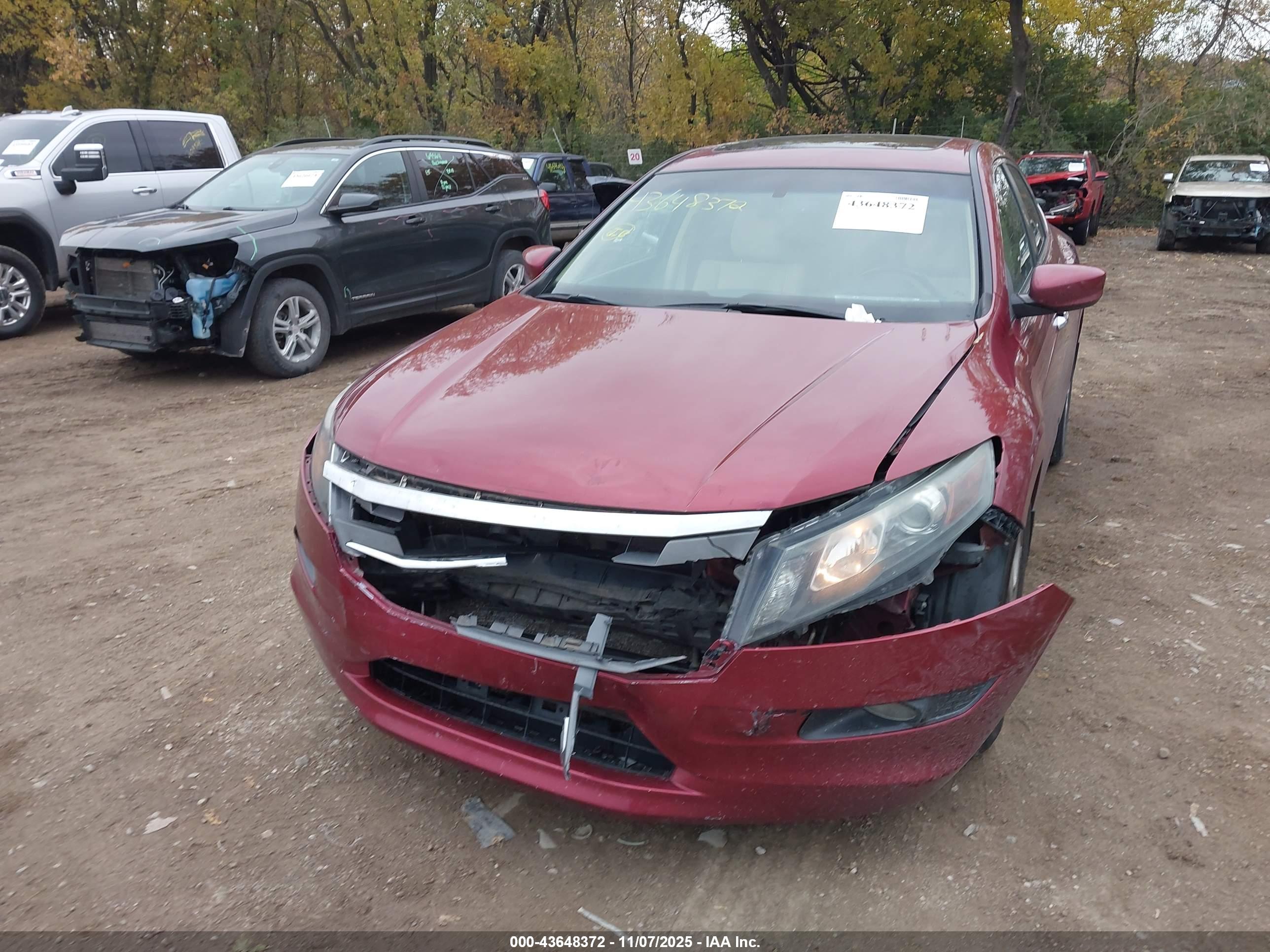HONDA ACCORD image 6