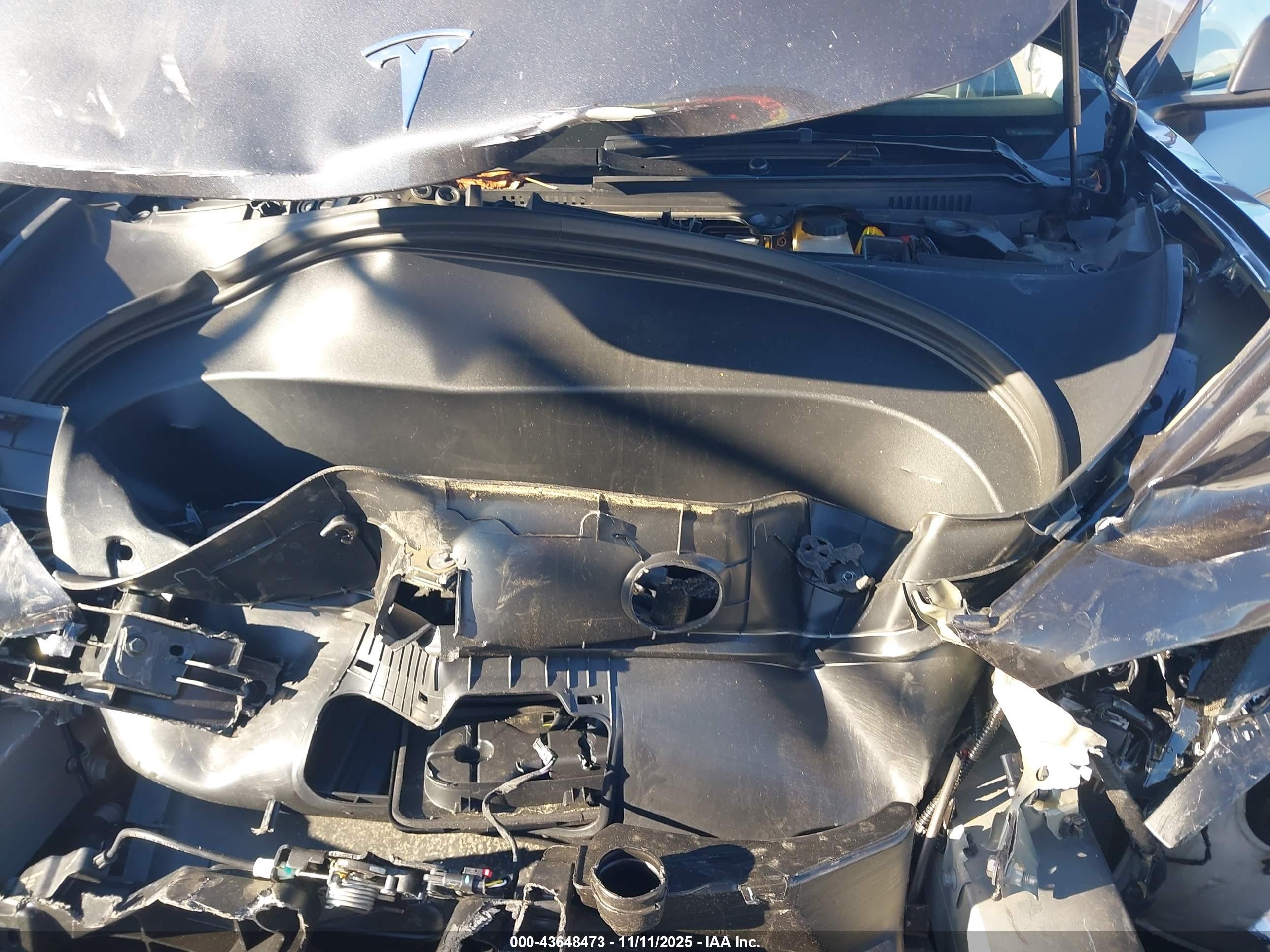 TESLA MODEL image 10