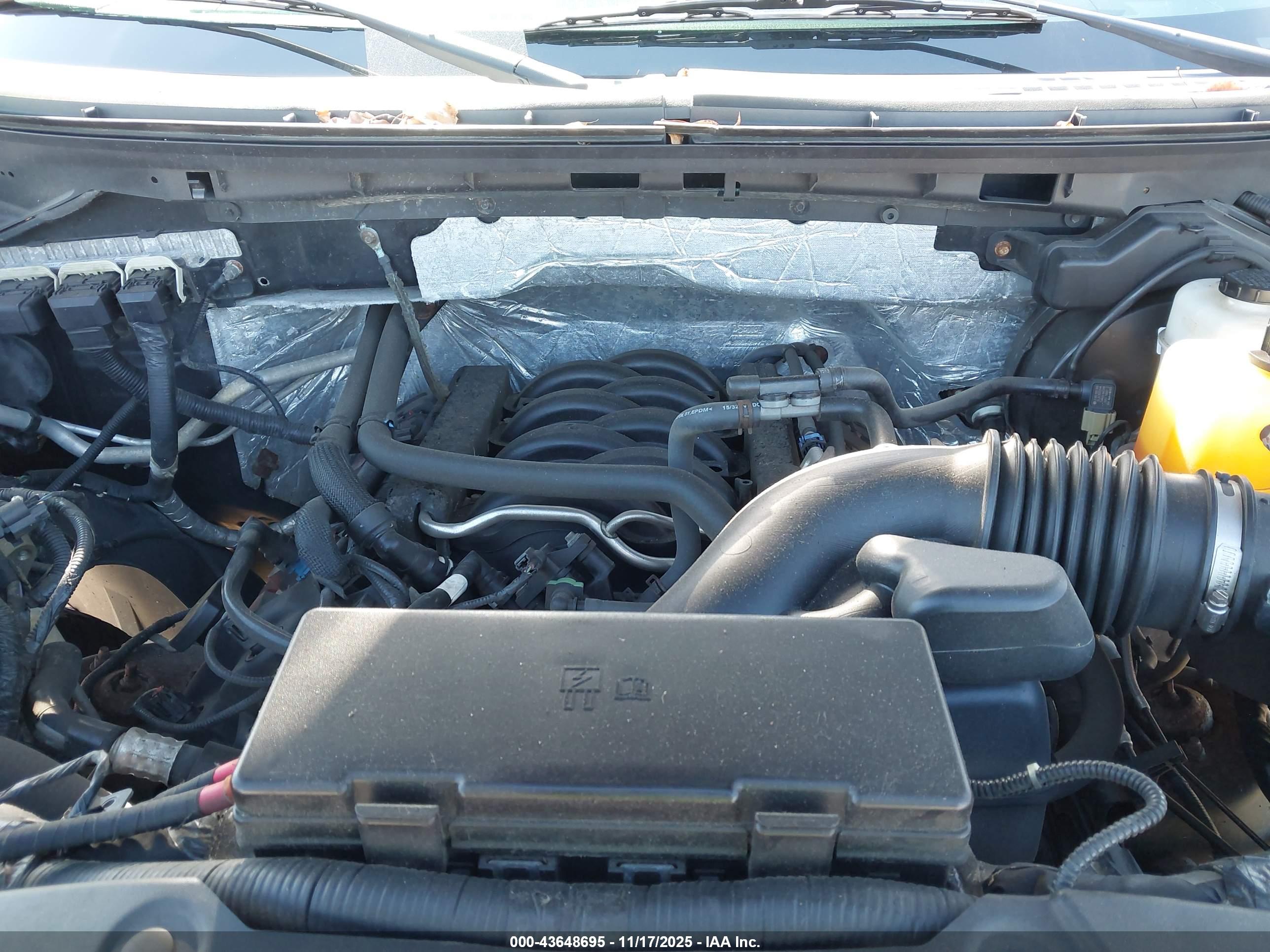 FORD F-150 image 10