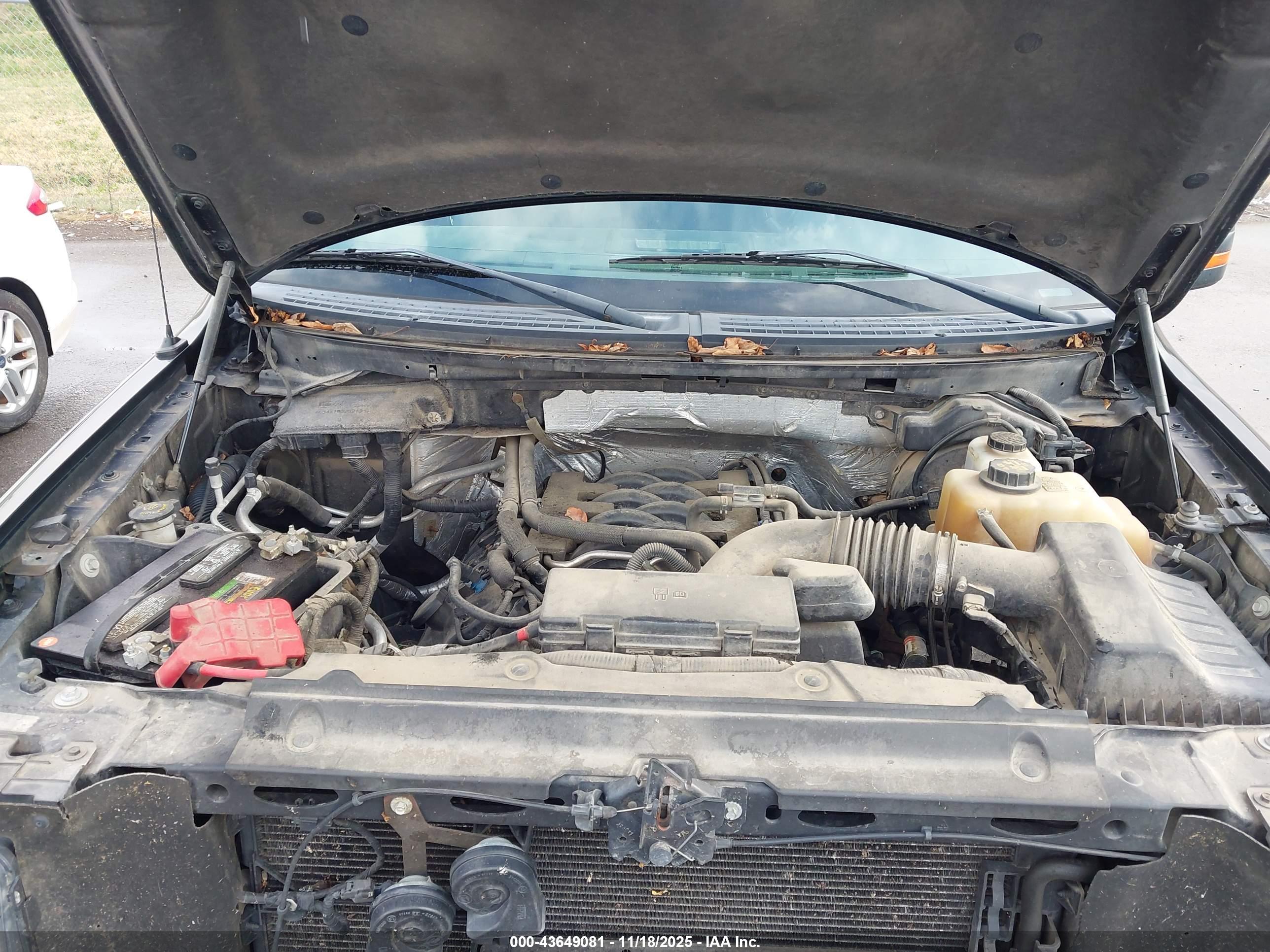 FORD F-150 image 10