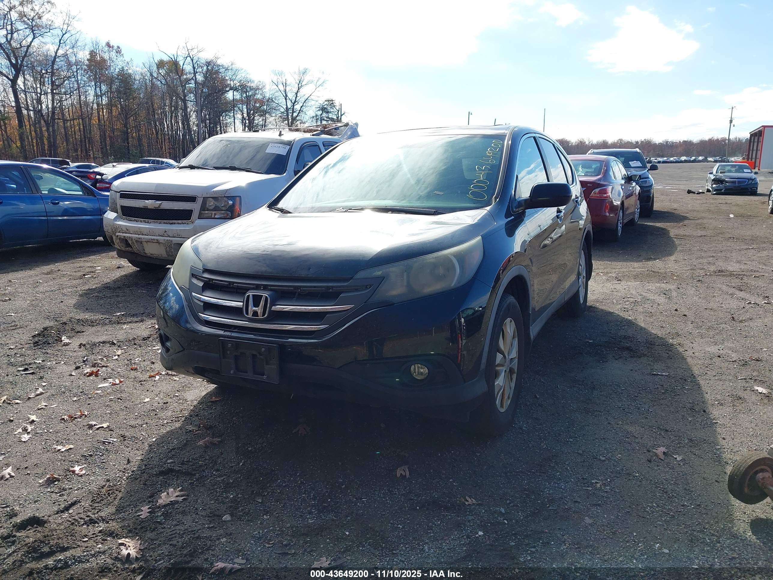 HONDA CR-V image 6