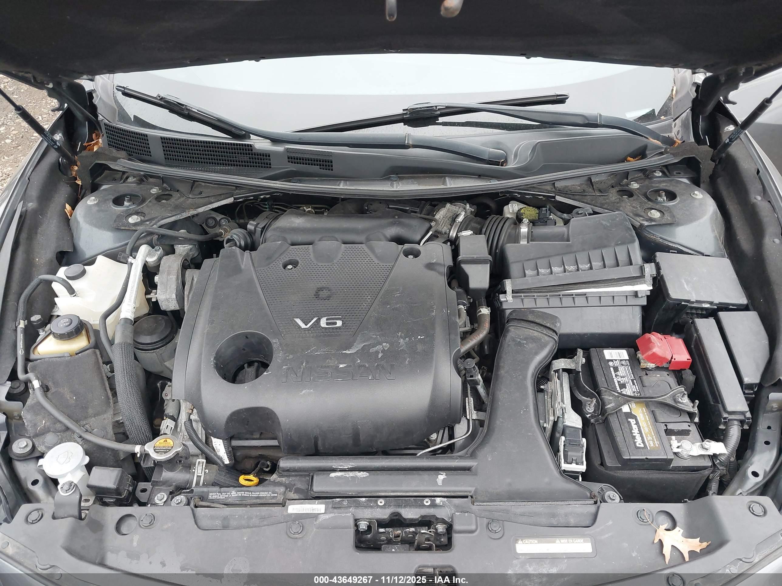 NISSAN MAXIMA image 10