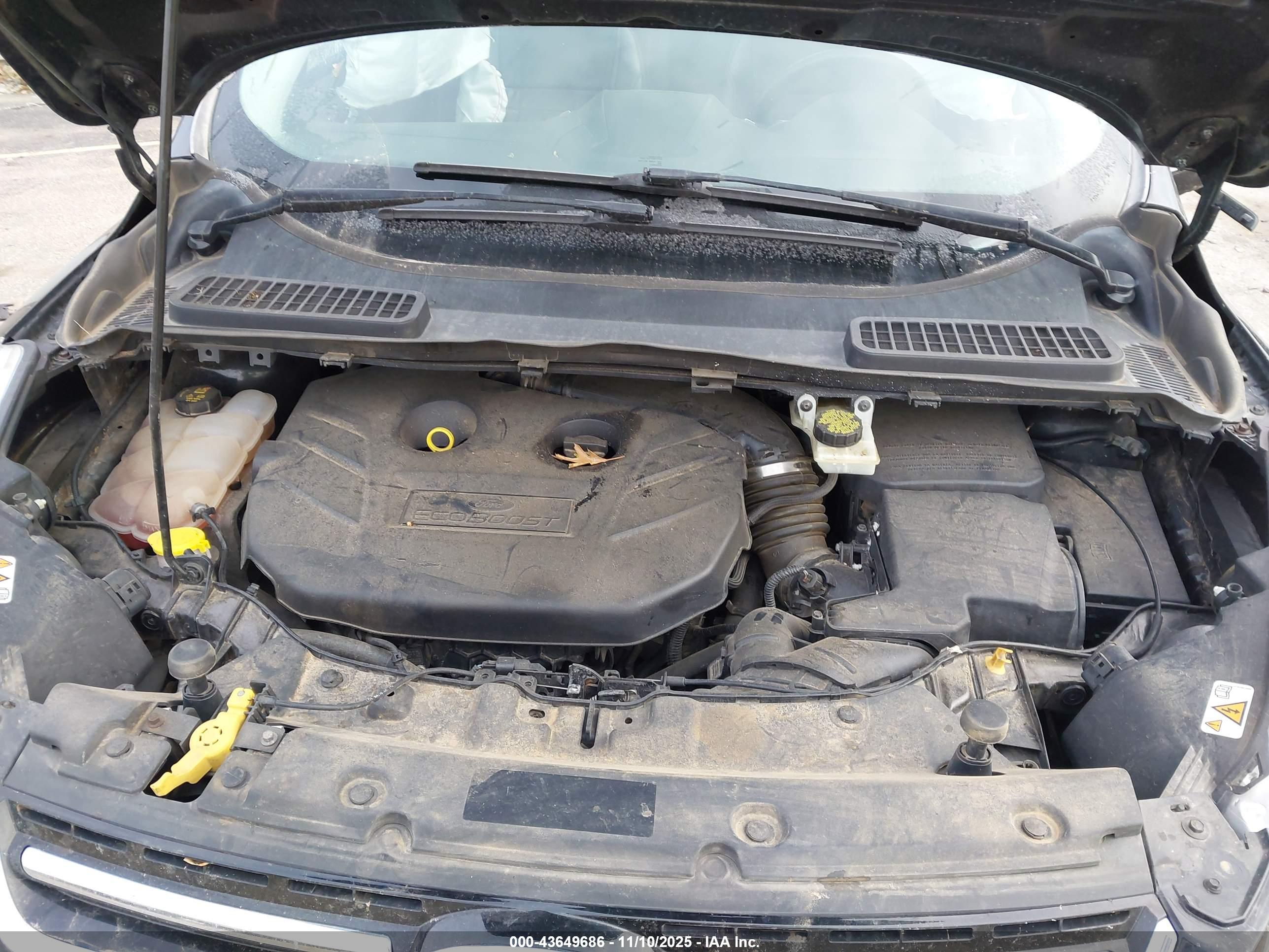 FORD ESCAPE image 10