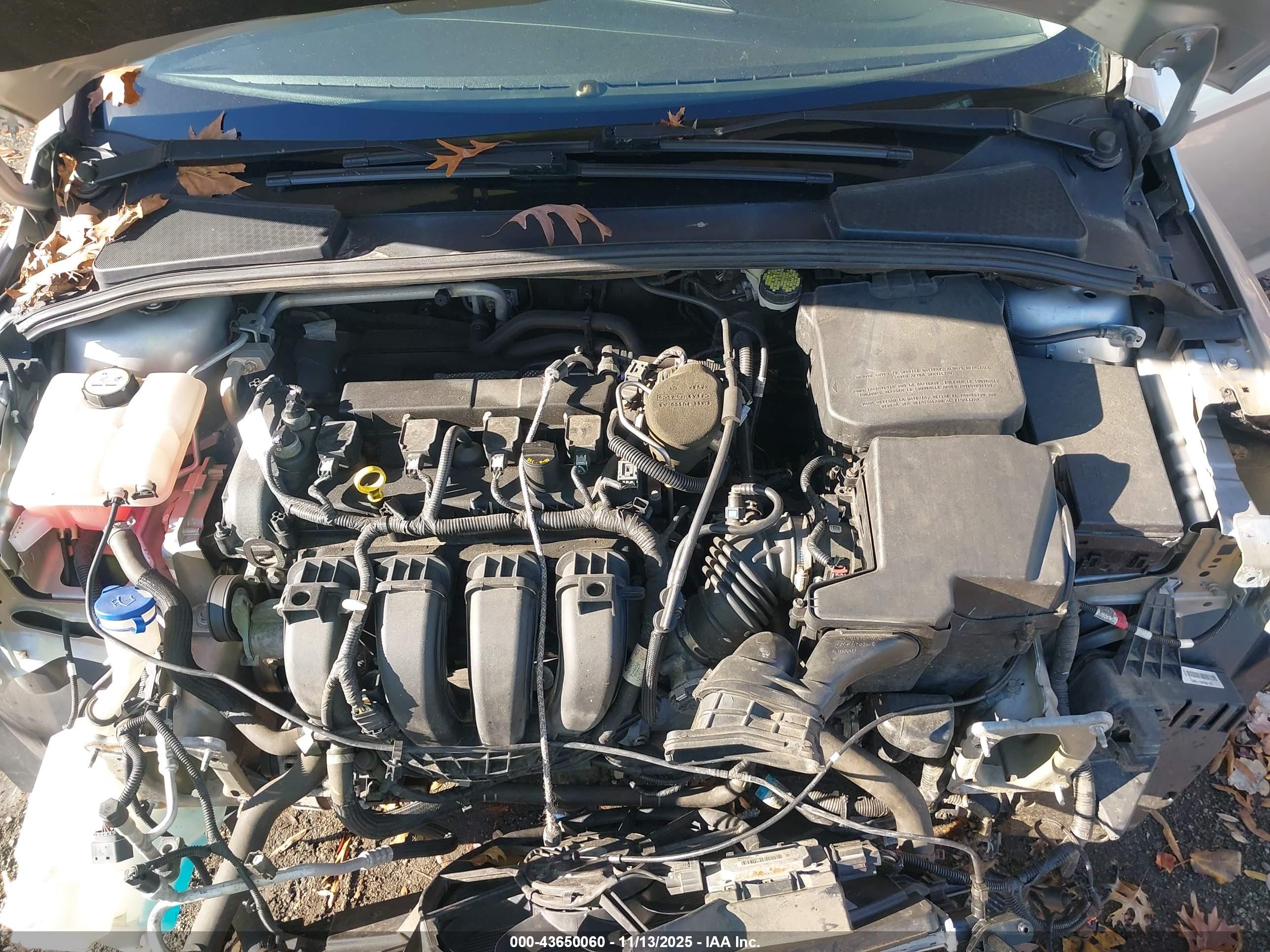 FORD FOCUS image 10