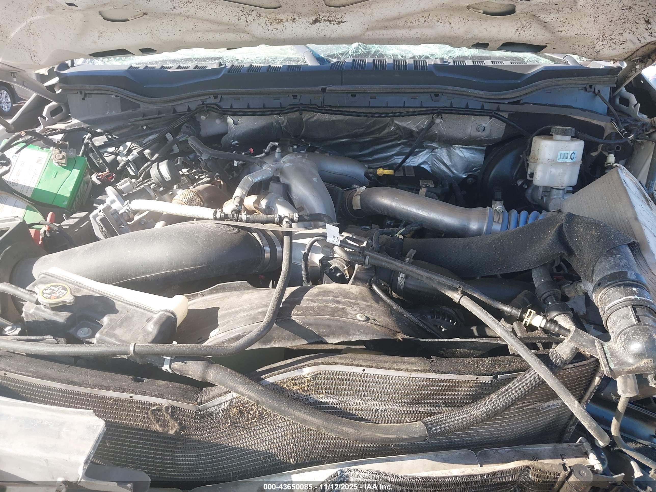 FORD F-250 image 10