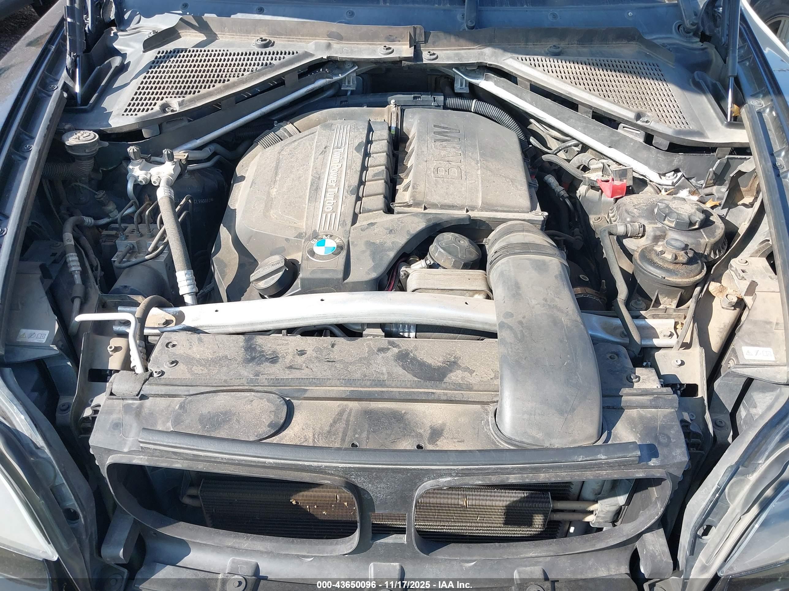 BMW X5 image 10