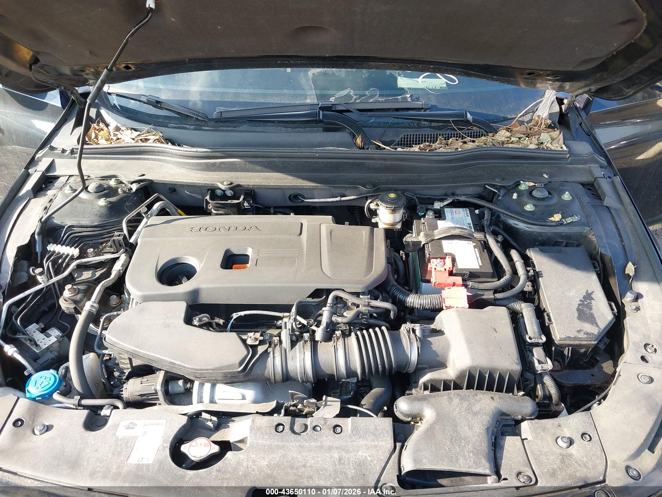 HONDA ACCORD image 10