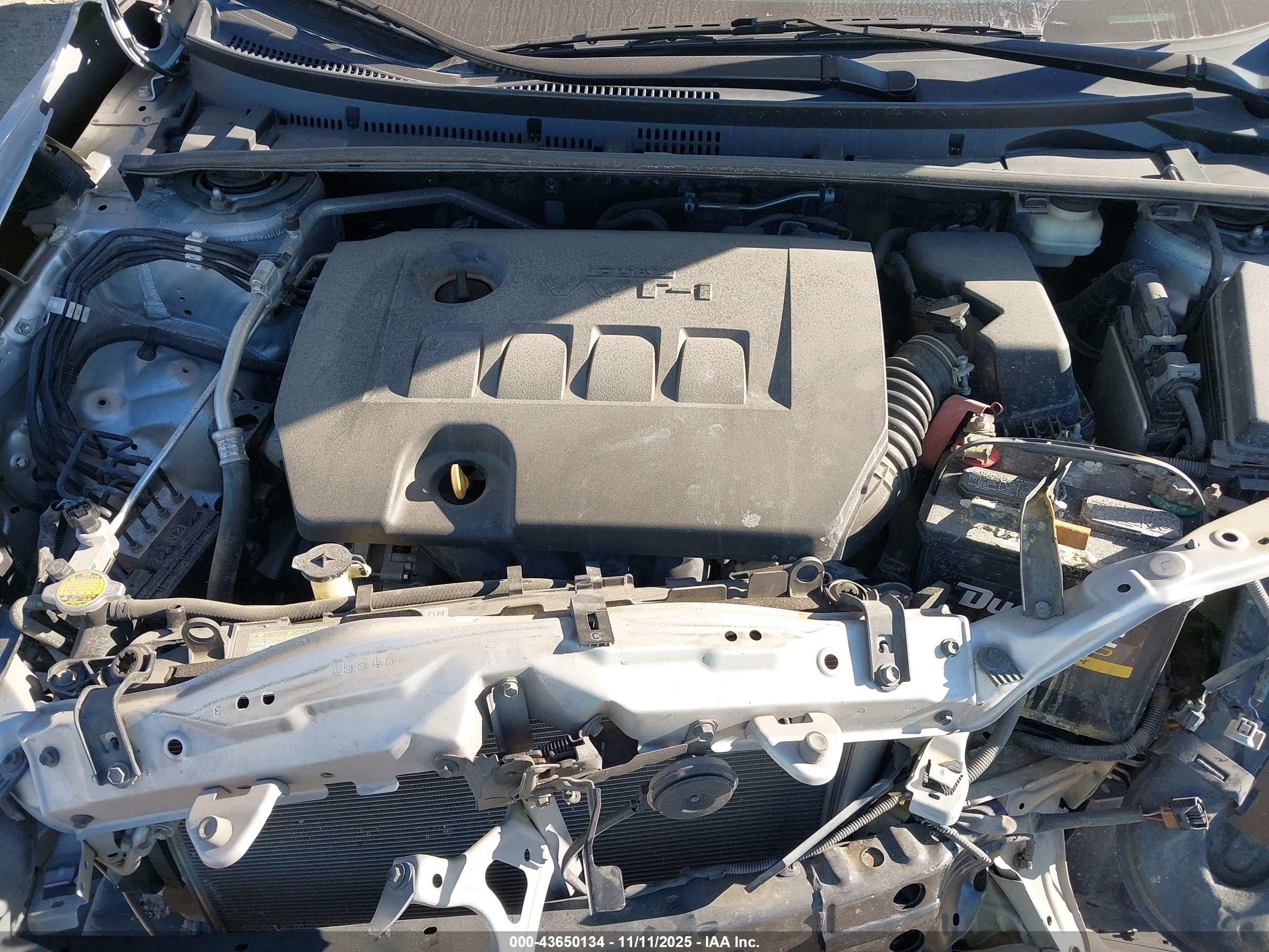 TOYOTA COROLLA image 10