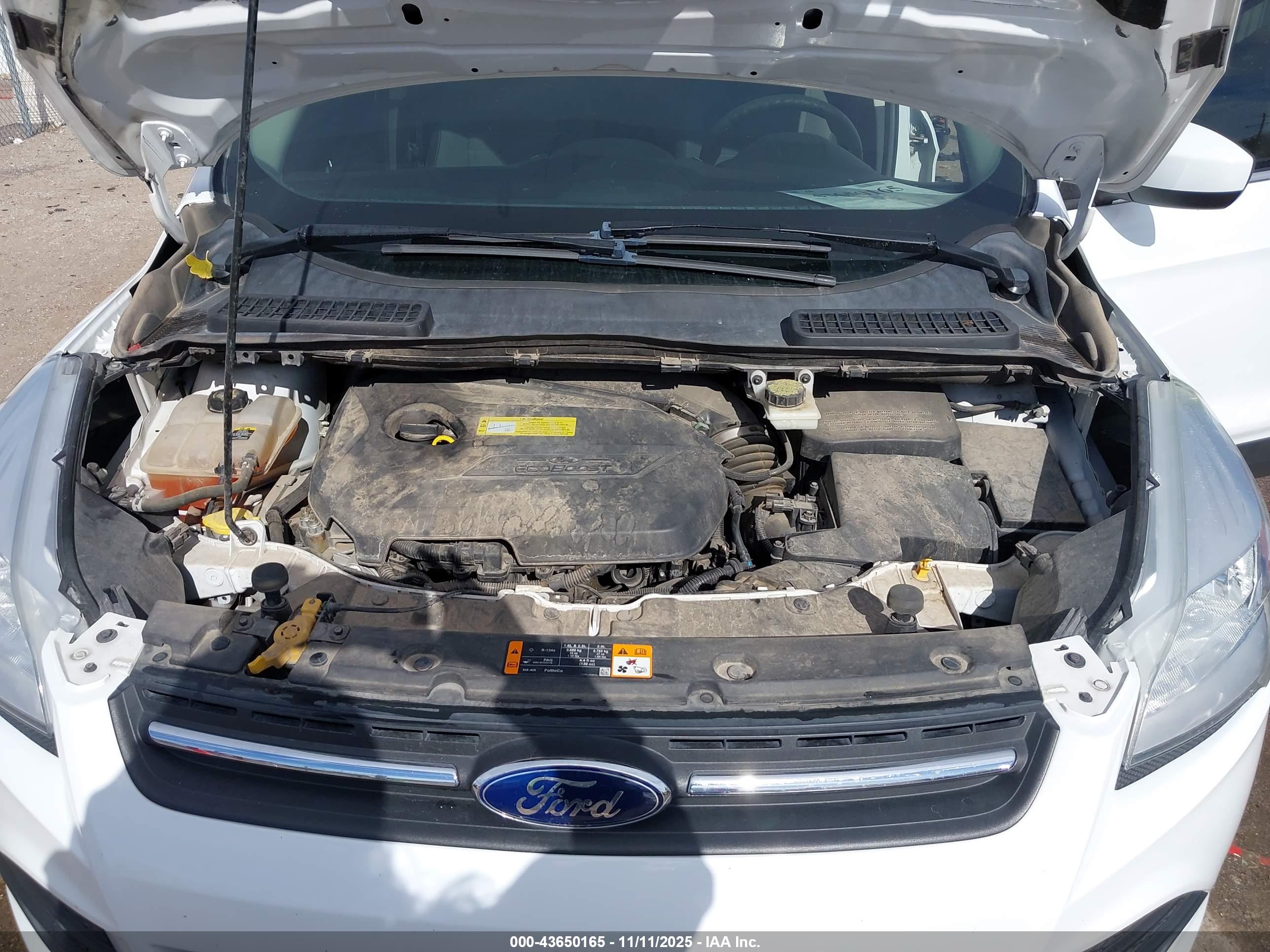 FORD ESCAPE image 10