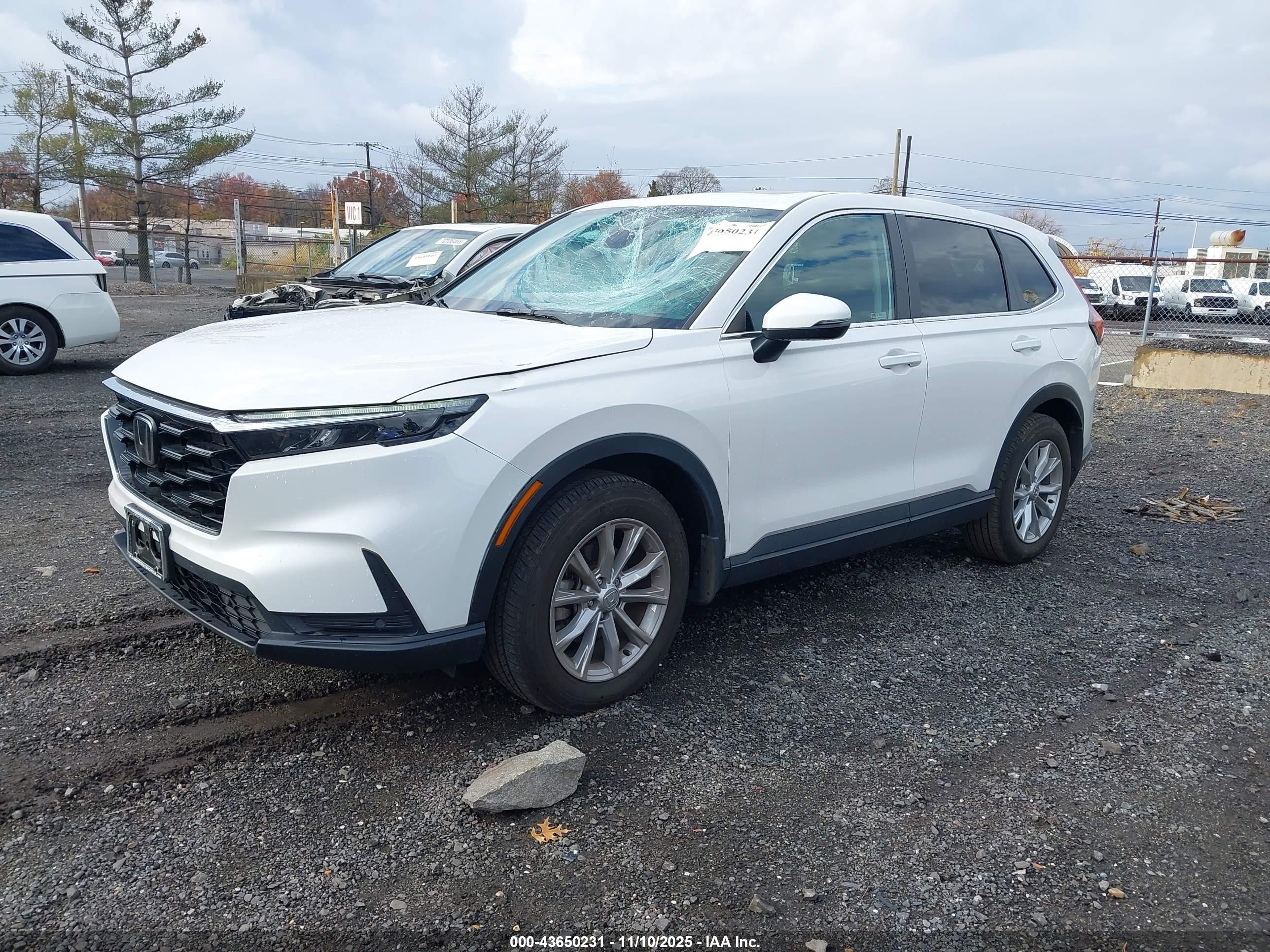 HONDA CR-V image 2