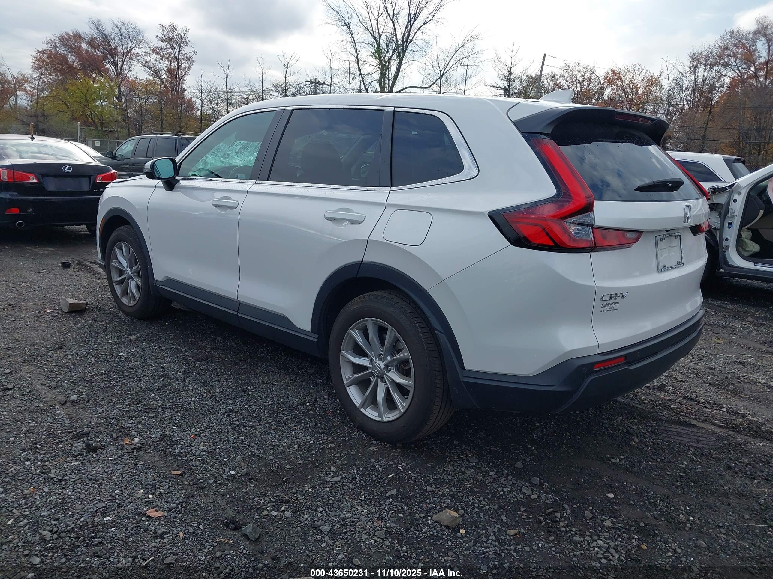 HONDA CR-V image 3