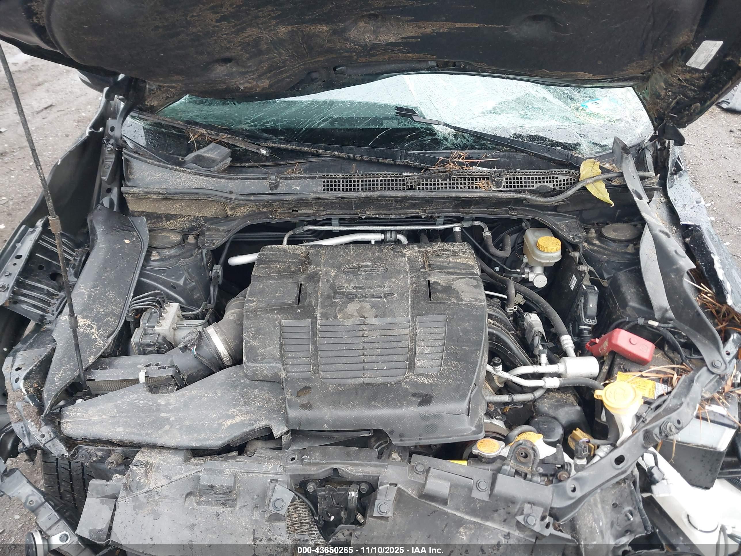 SUBARU FORESTER image 10