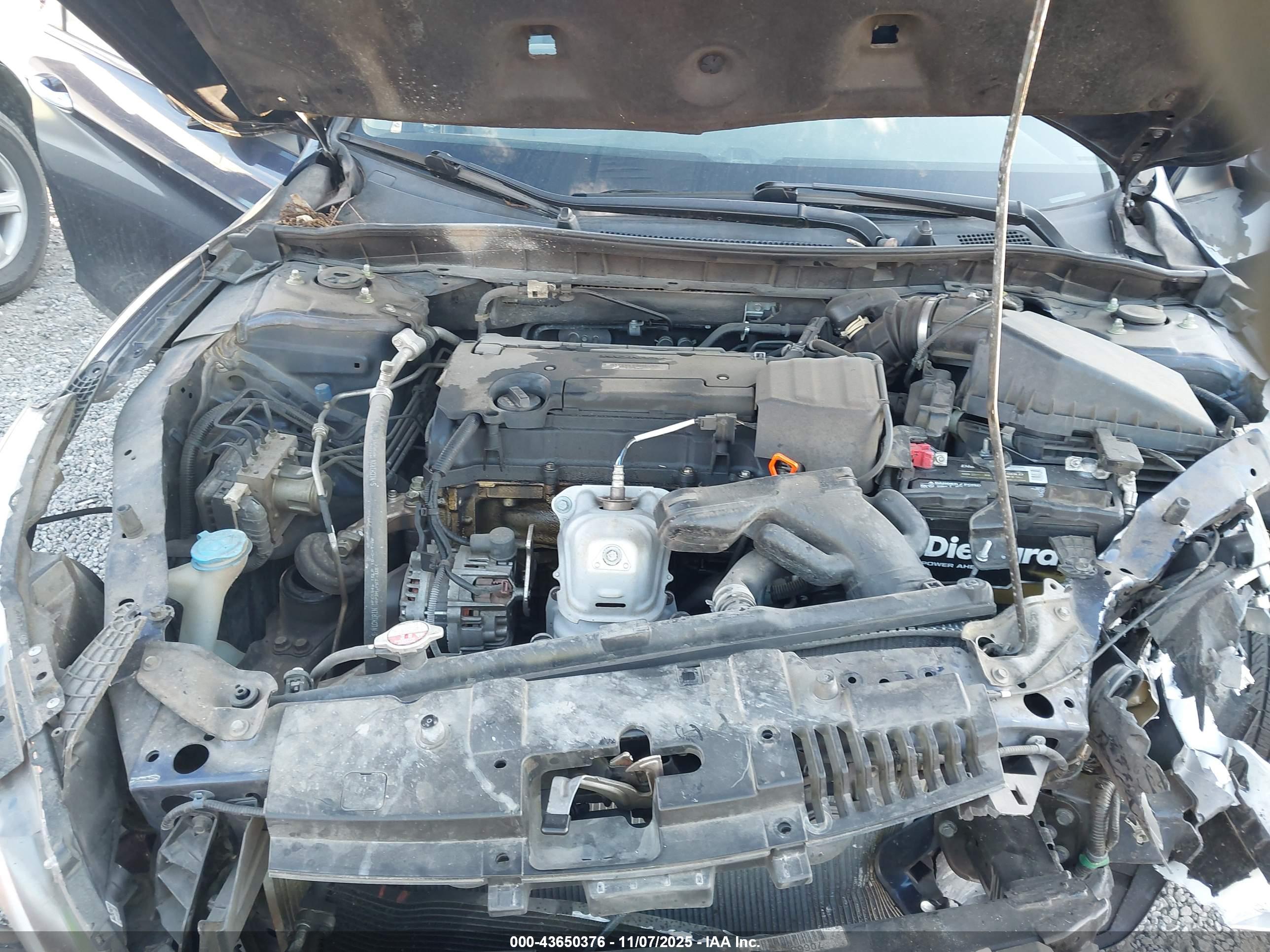 HONDA ACCORD image 10
