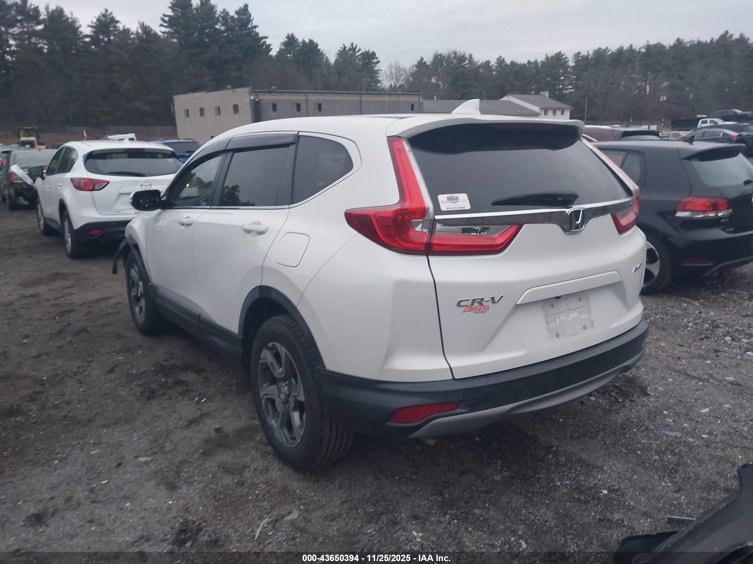 HONDA CR-V image 3