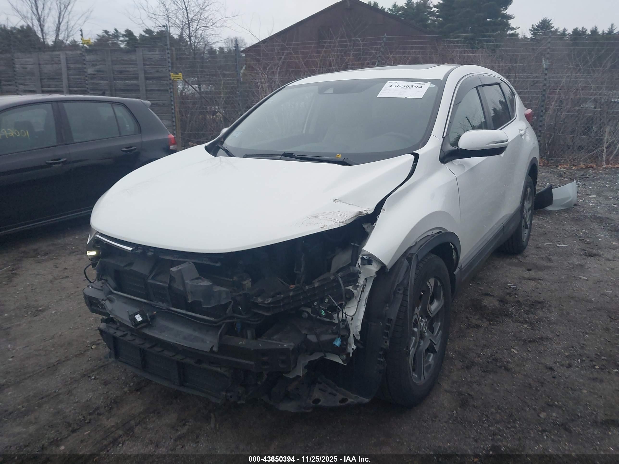 HONDA CR-V image 6