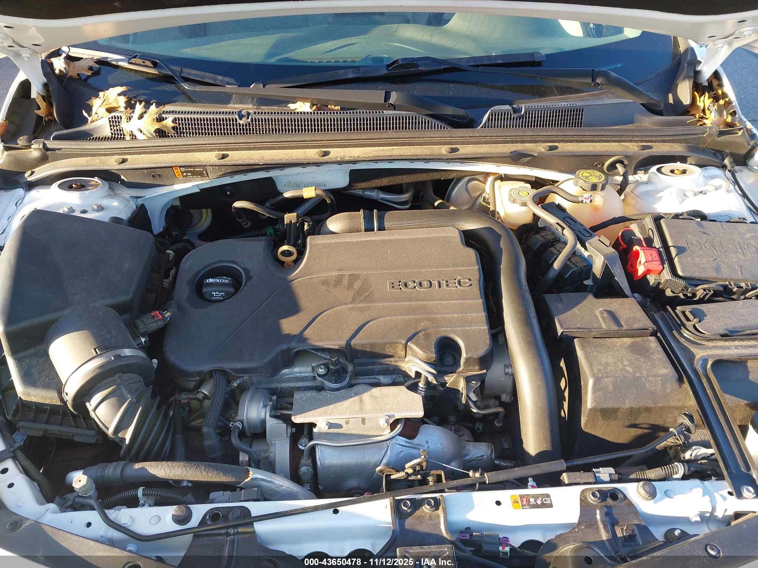 CHEVROLET MALIBU image 10