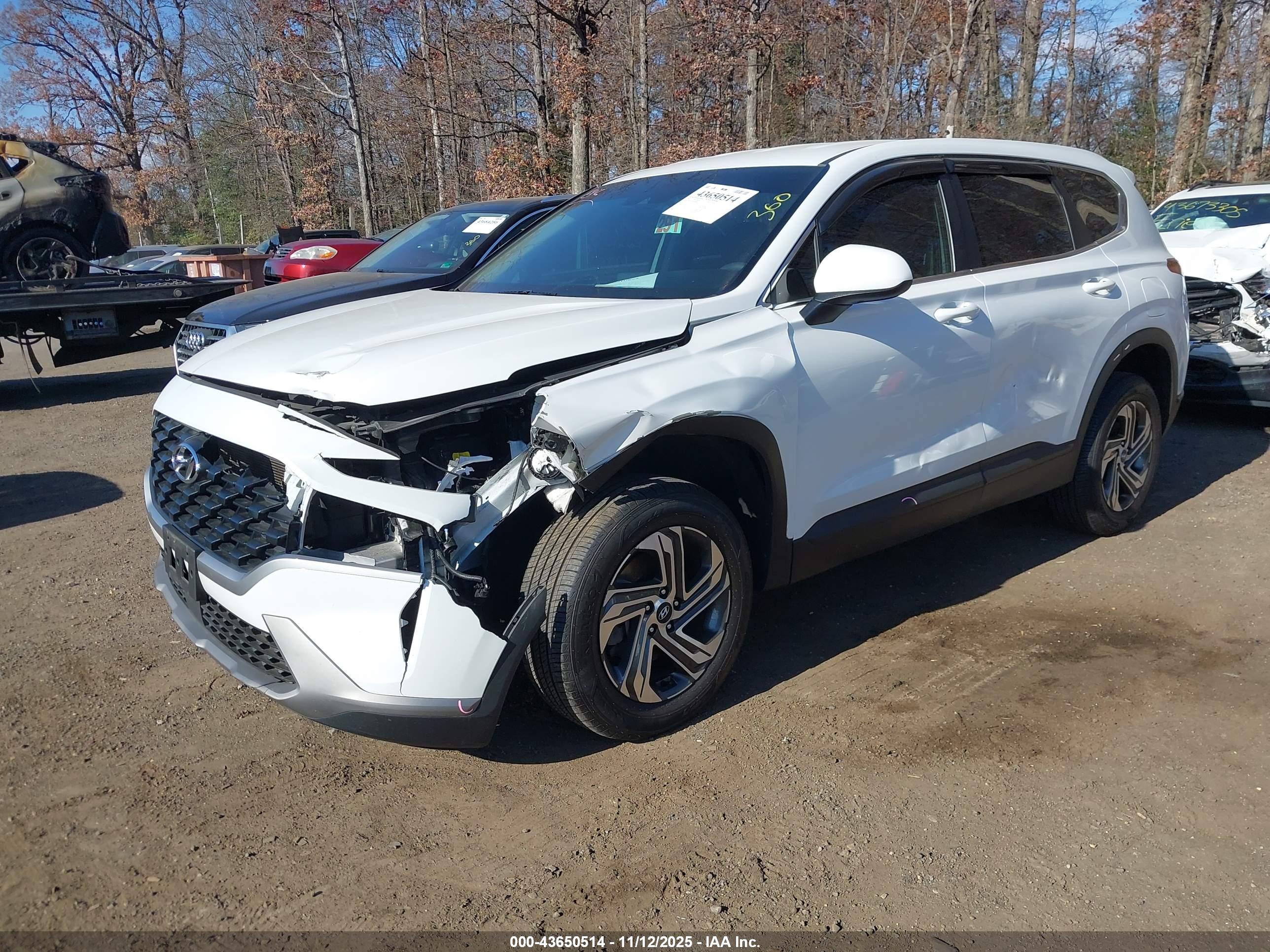 HYUNDAI SANTA image 2