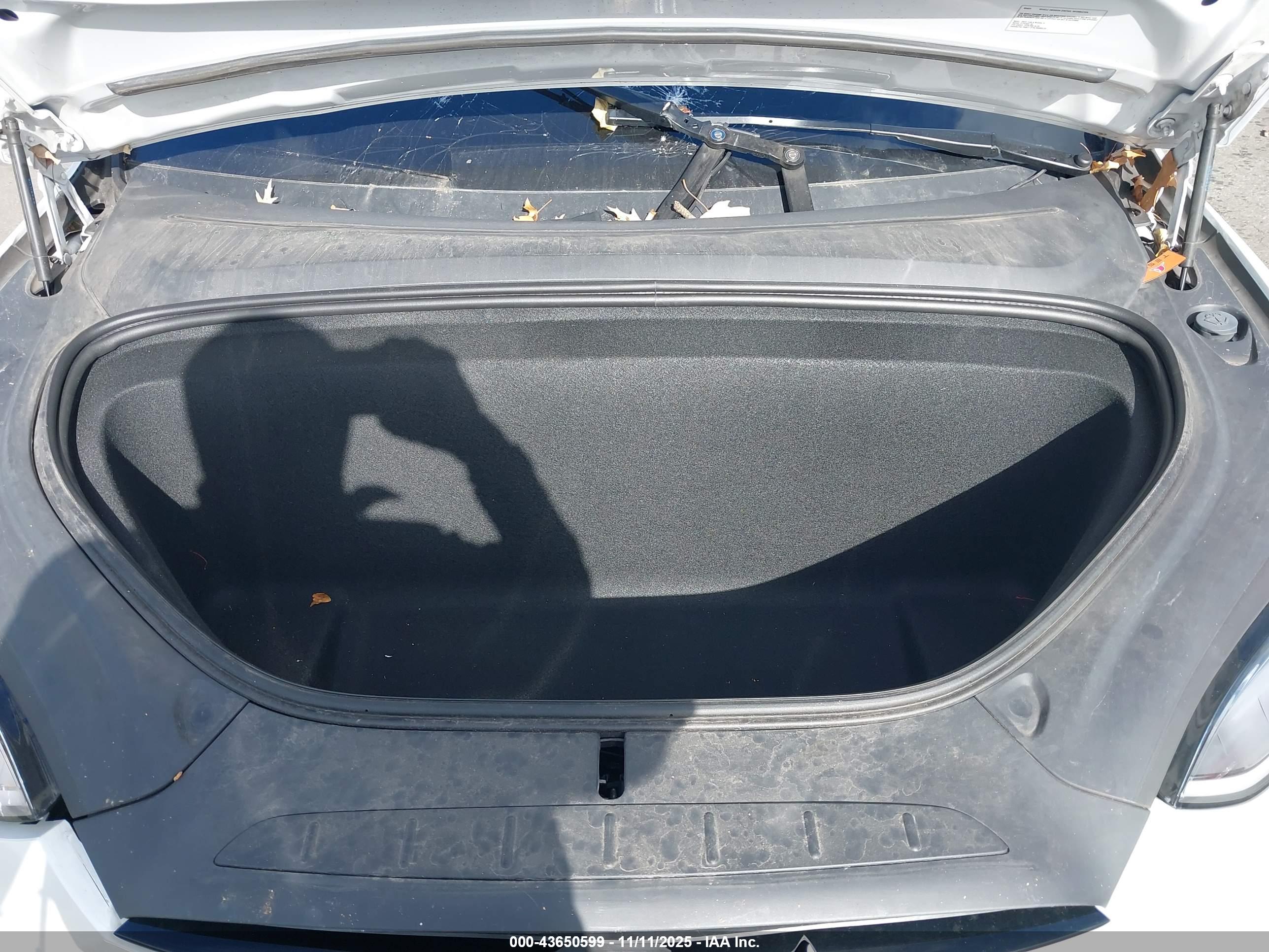 TESLA MODEL image 10